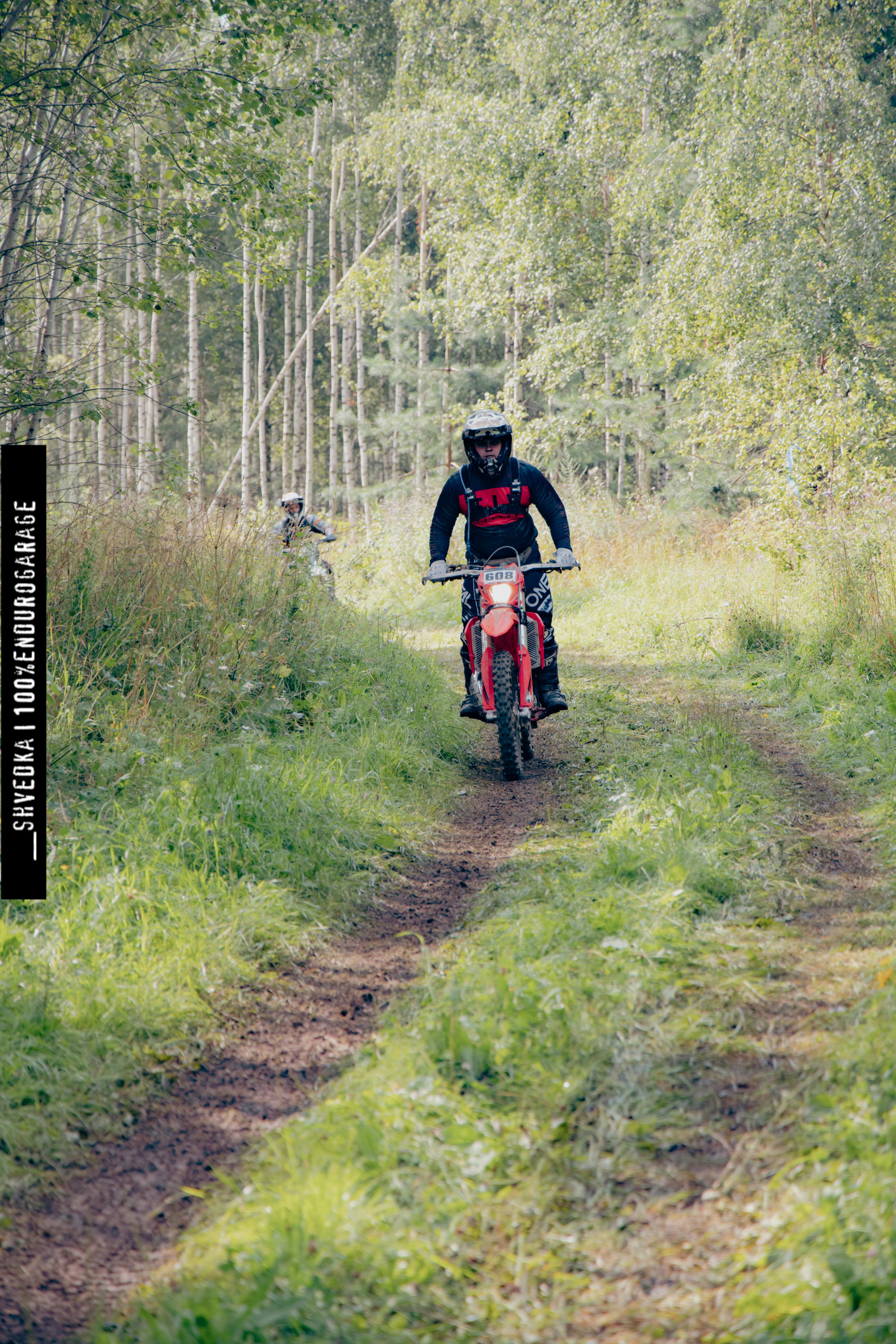 ВТОРОЙ ЛЕСНОЙ ДЕНЬ. Ваш экстрим фотограф Кудрева Яна