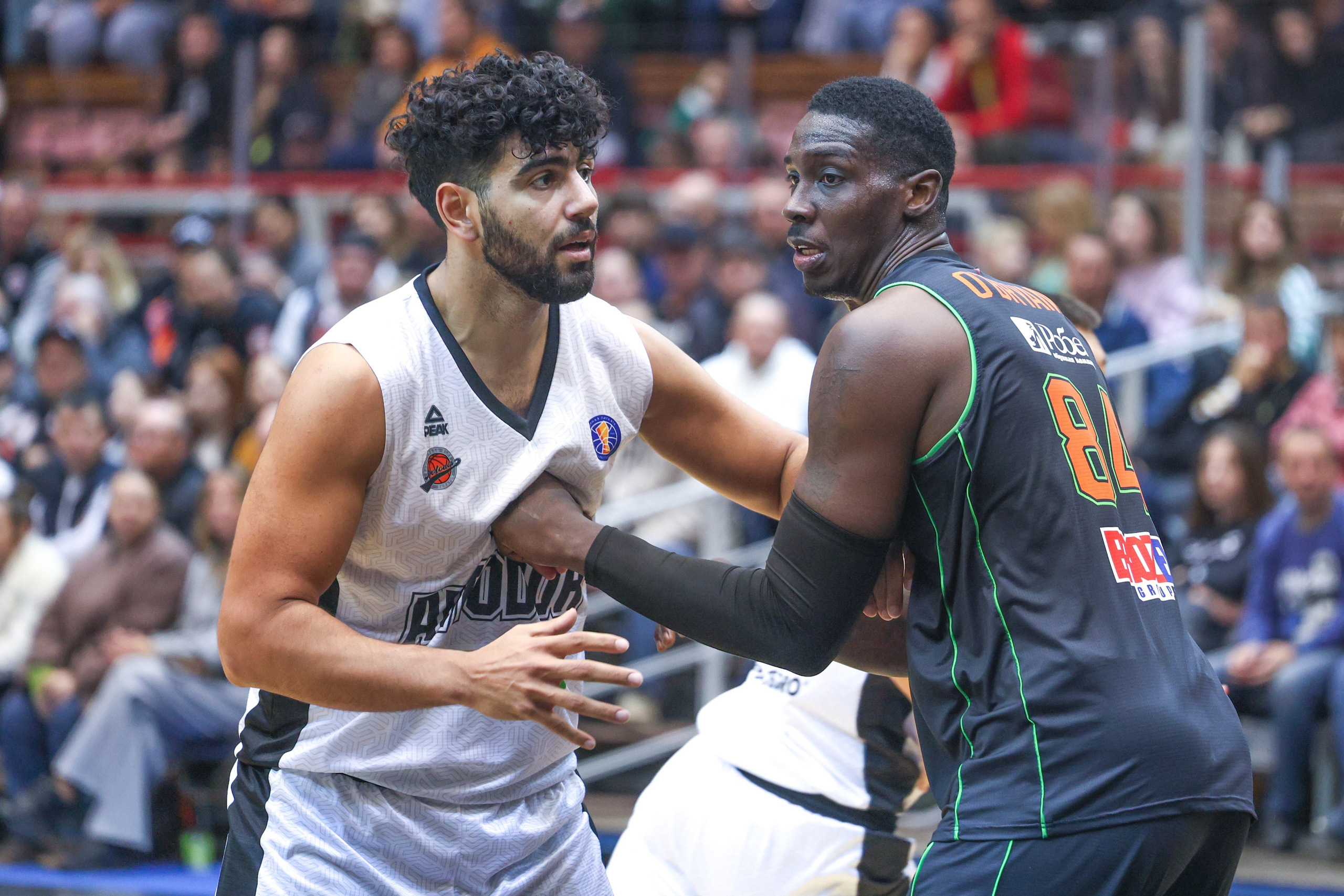 Единая лига ВТБ Canon. Фотограф Дмитрий Алексеев