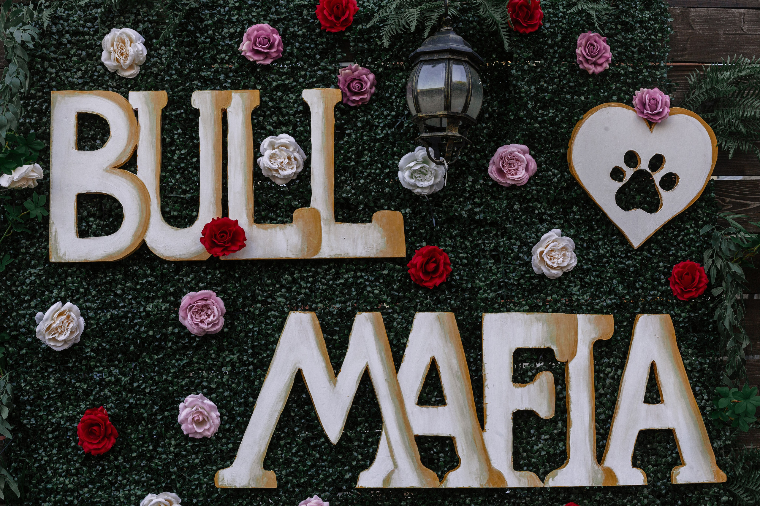 Бульбалл 23.04.2023. Фотограф-анималист Татьяна Степанова