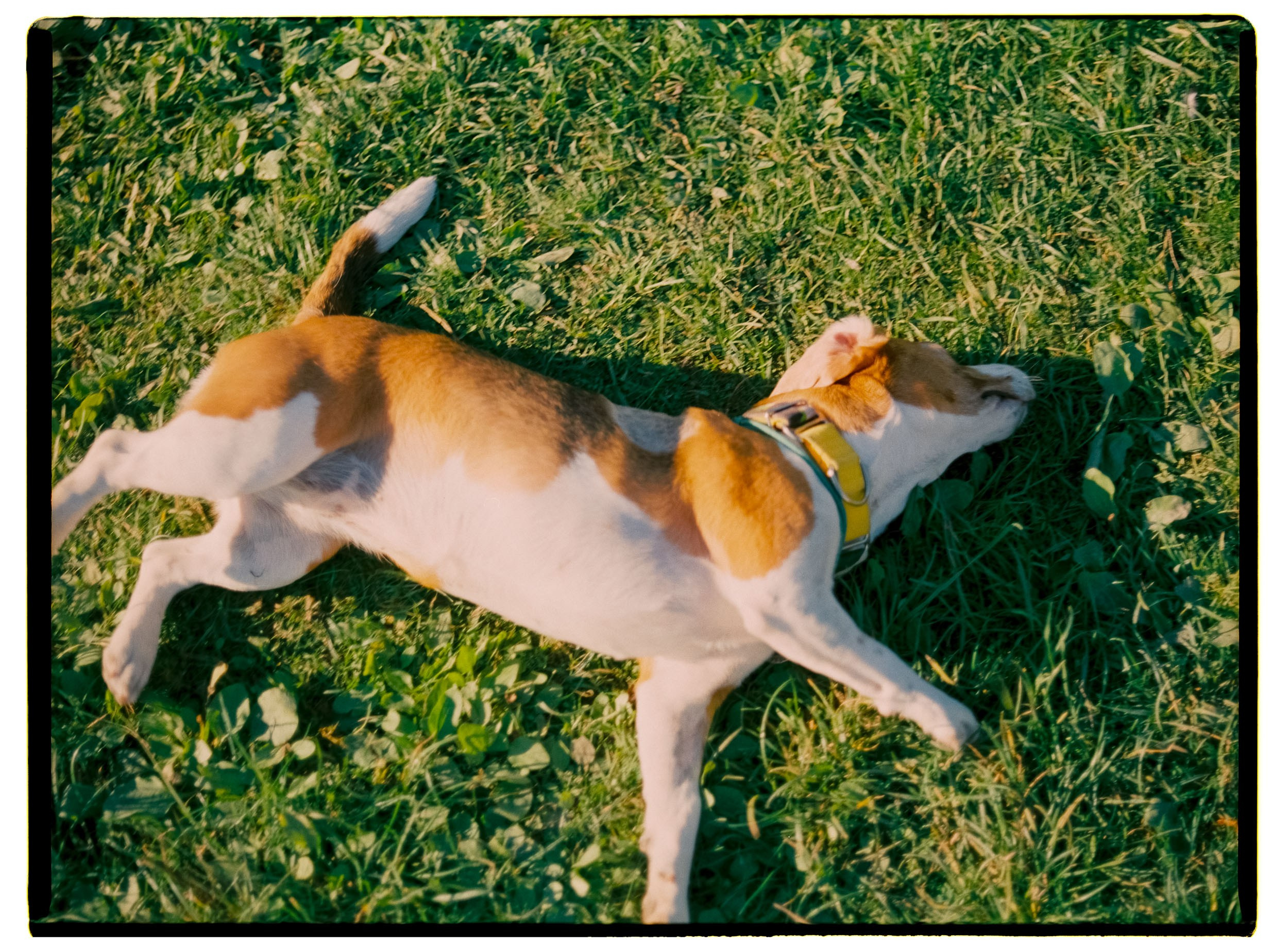 Great time with my family. Никита Демидов. Nikita Demidov