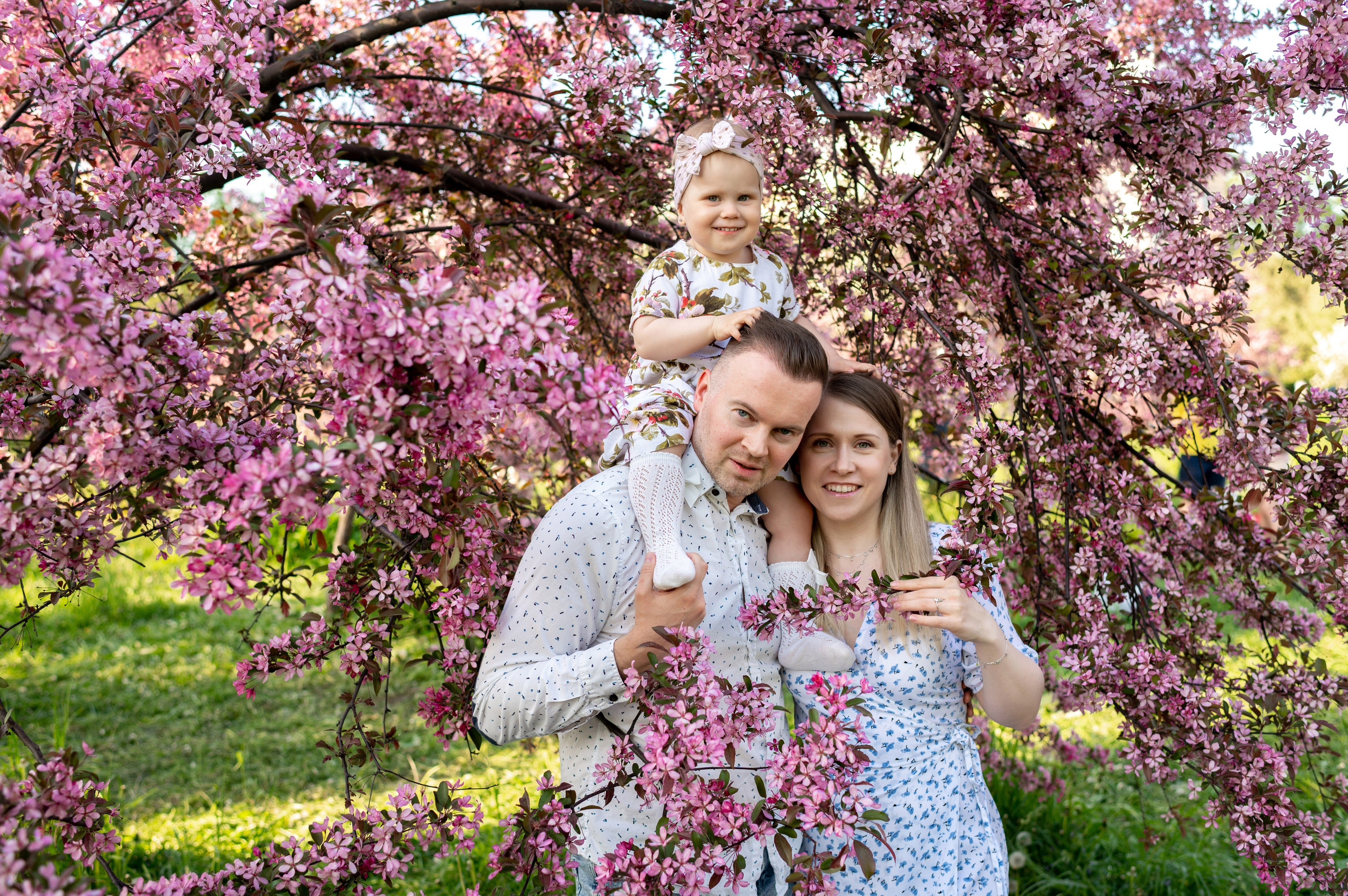Ника и родители в розовых яблонях. Портретный, семейный и свадебный фотограф в Санкт-Петербурге и в Пушкине Ширяев Денис