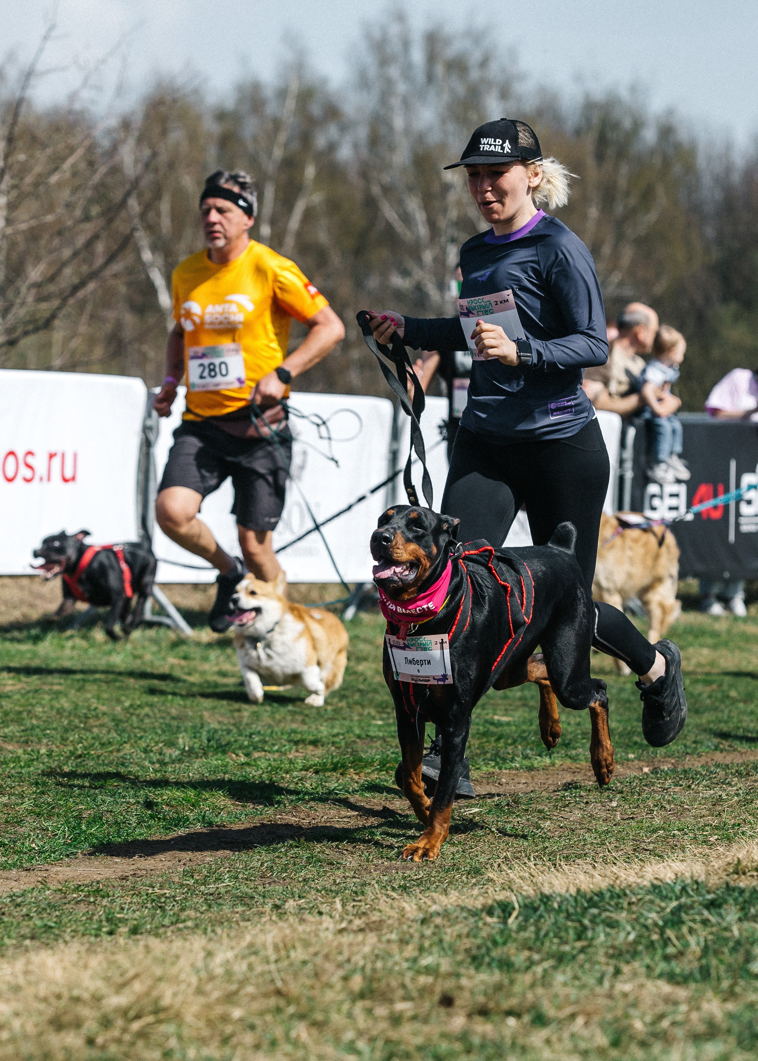 Кросс «Быстрый пёс» 2025. Репортажный фотограф в Москве