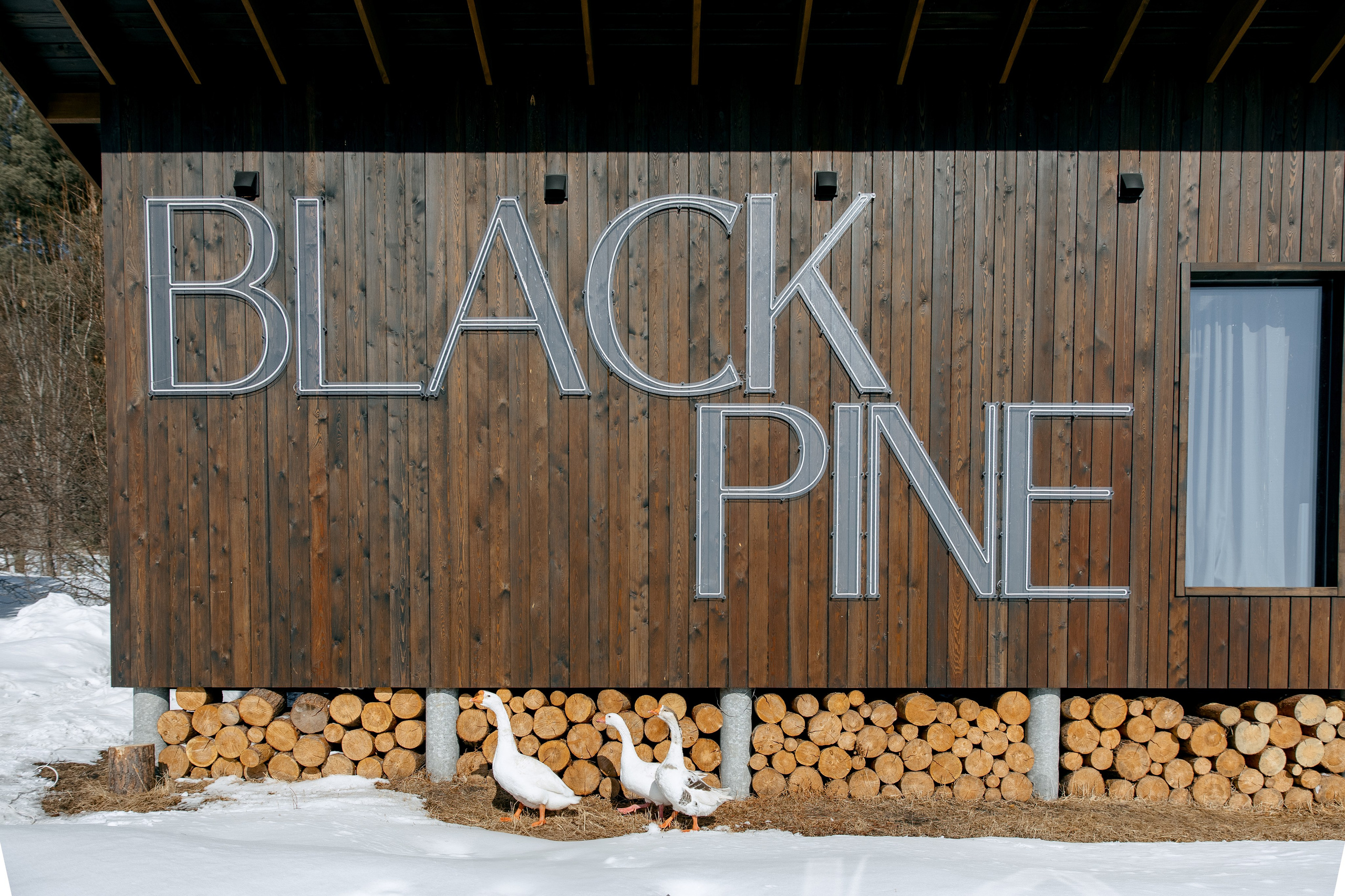 ДЕНЬ ДОЖДЕНИЯ ЕКАТЕРИНЫ. Фотограф в Красноярске