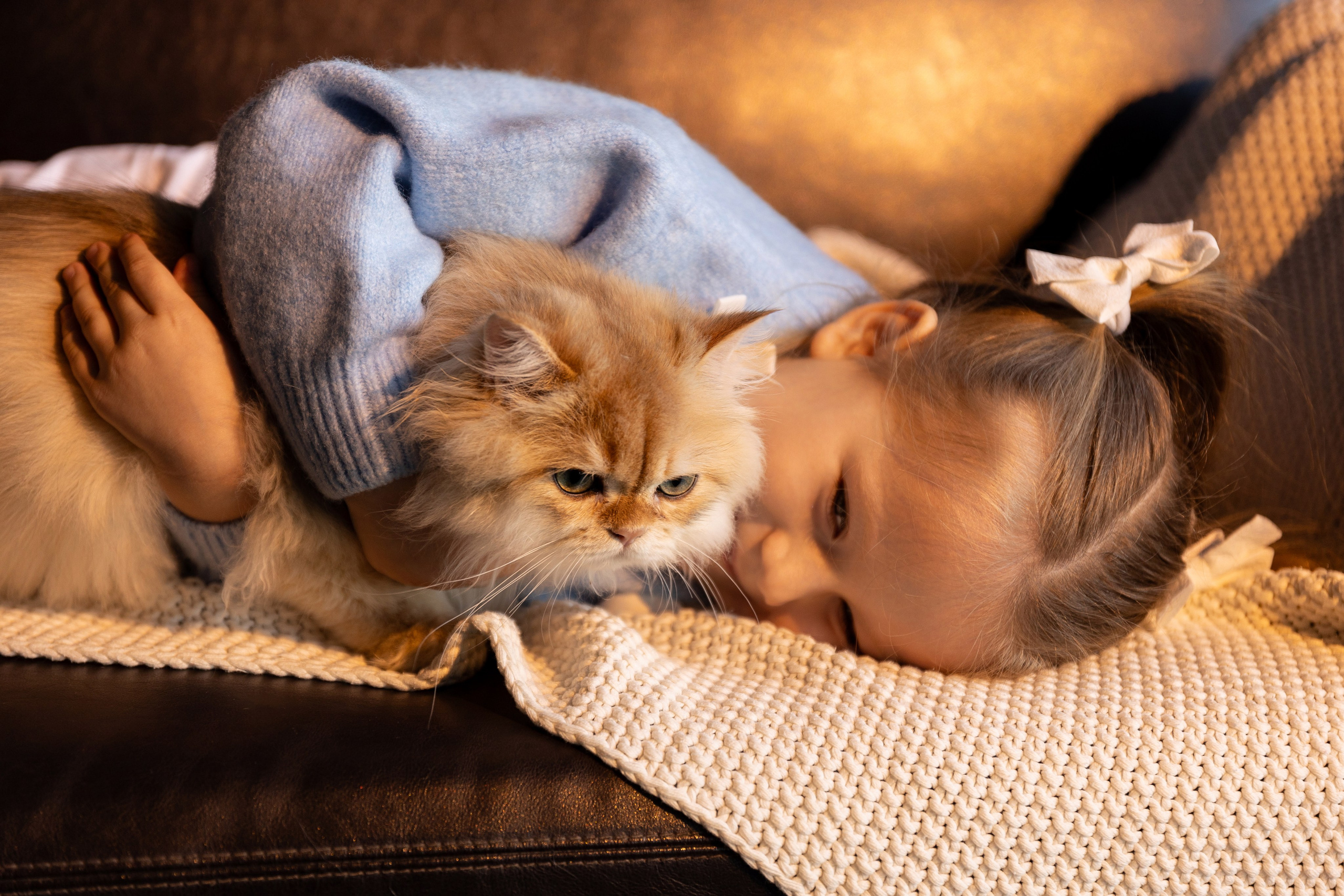 Фотосессия с котятами. Семейный и свадебный фотограф в Санкт-Петербурге Татьяна Швыкова