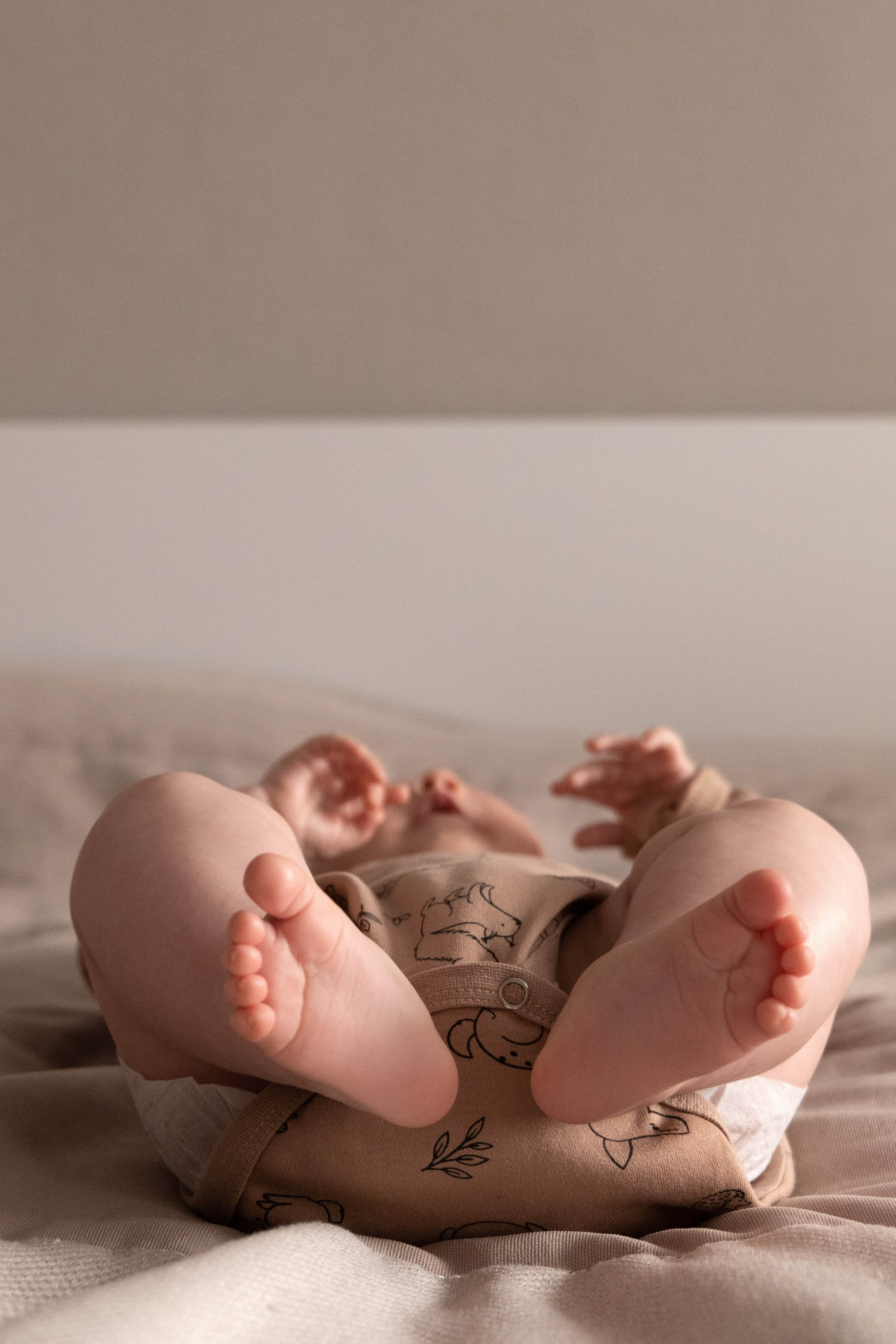 Мишке 4 месяца. Фотограф видеограф Ольга Василевская