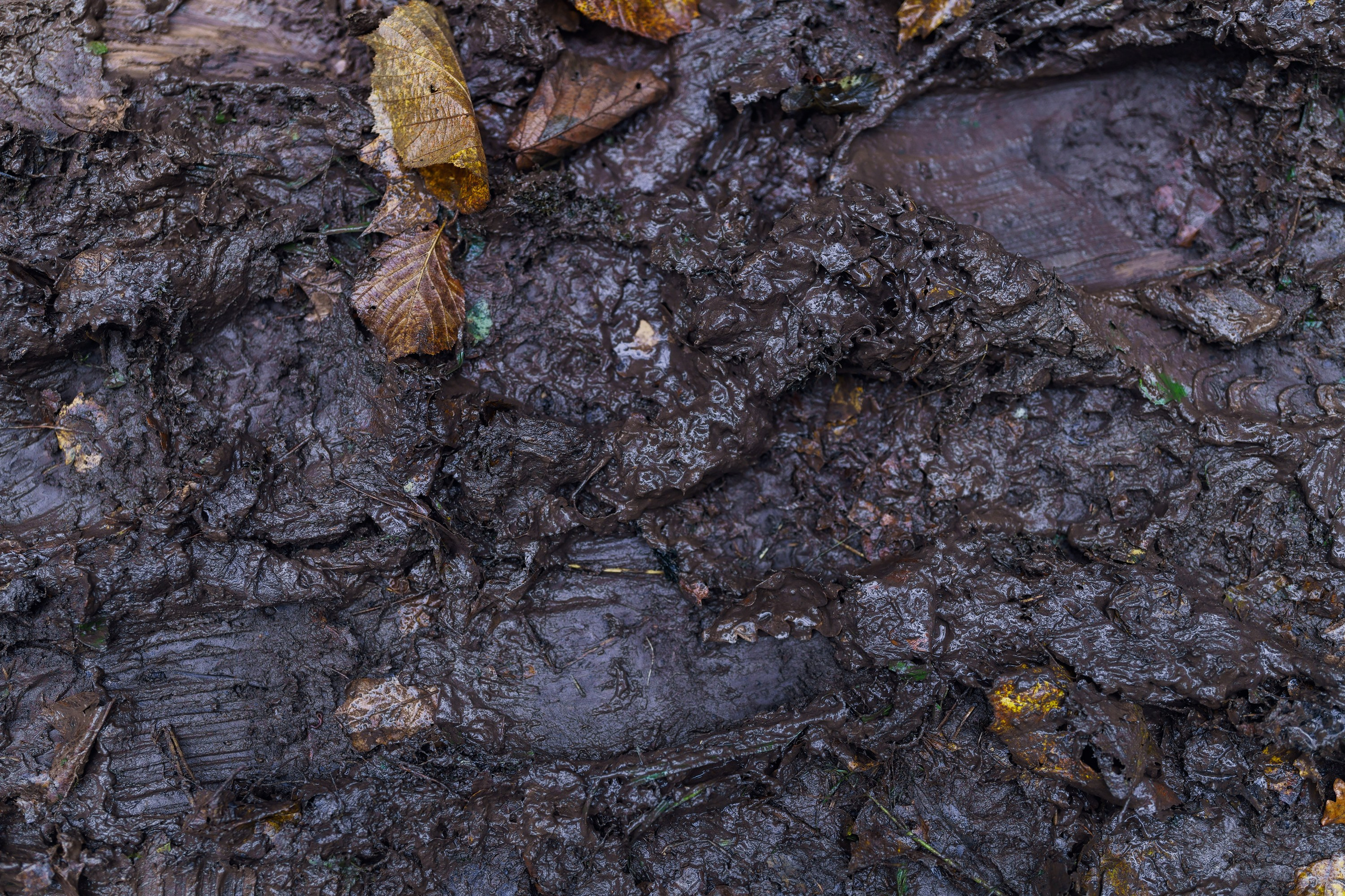 Фотографии Трейл Кутузов 2025. Фотограф спортивные события, недвижимость, турбизнес