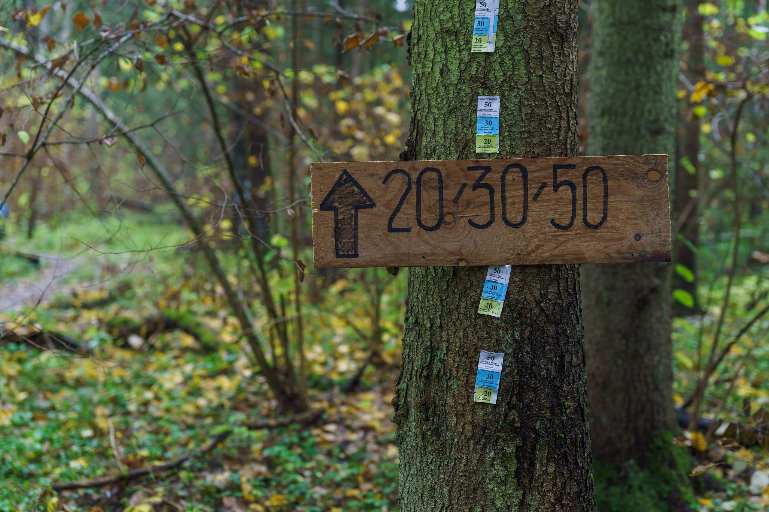 Фотографии Трейл Кутузов 2025. Фотограф спортивные события, недвижимость, турбизнес