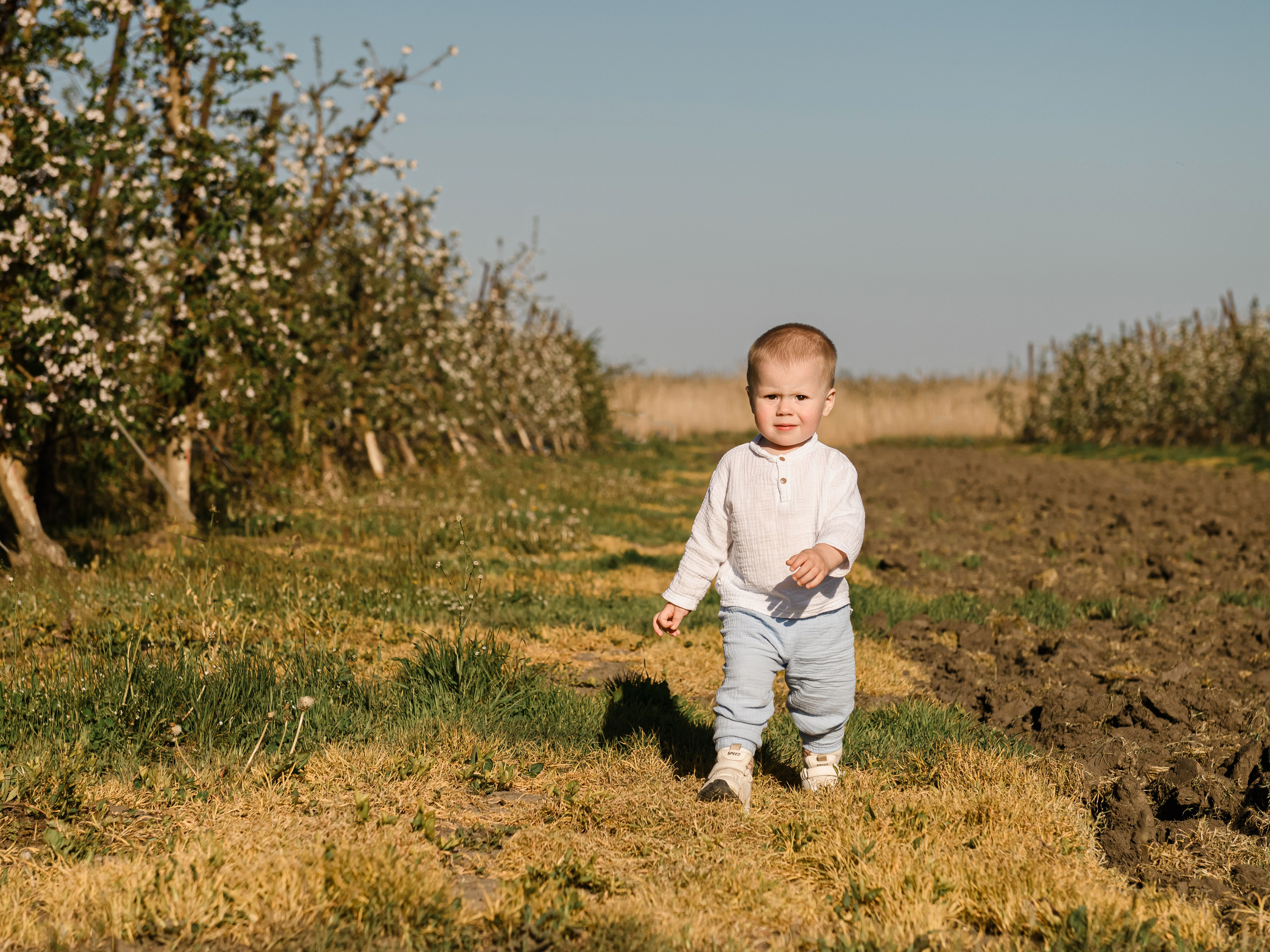 Яблоневый сад. Свадебный и семейный фотограф в Славянске-на-Кубани Прохорова Алёна