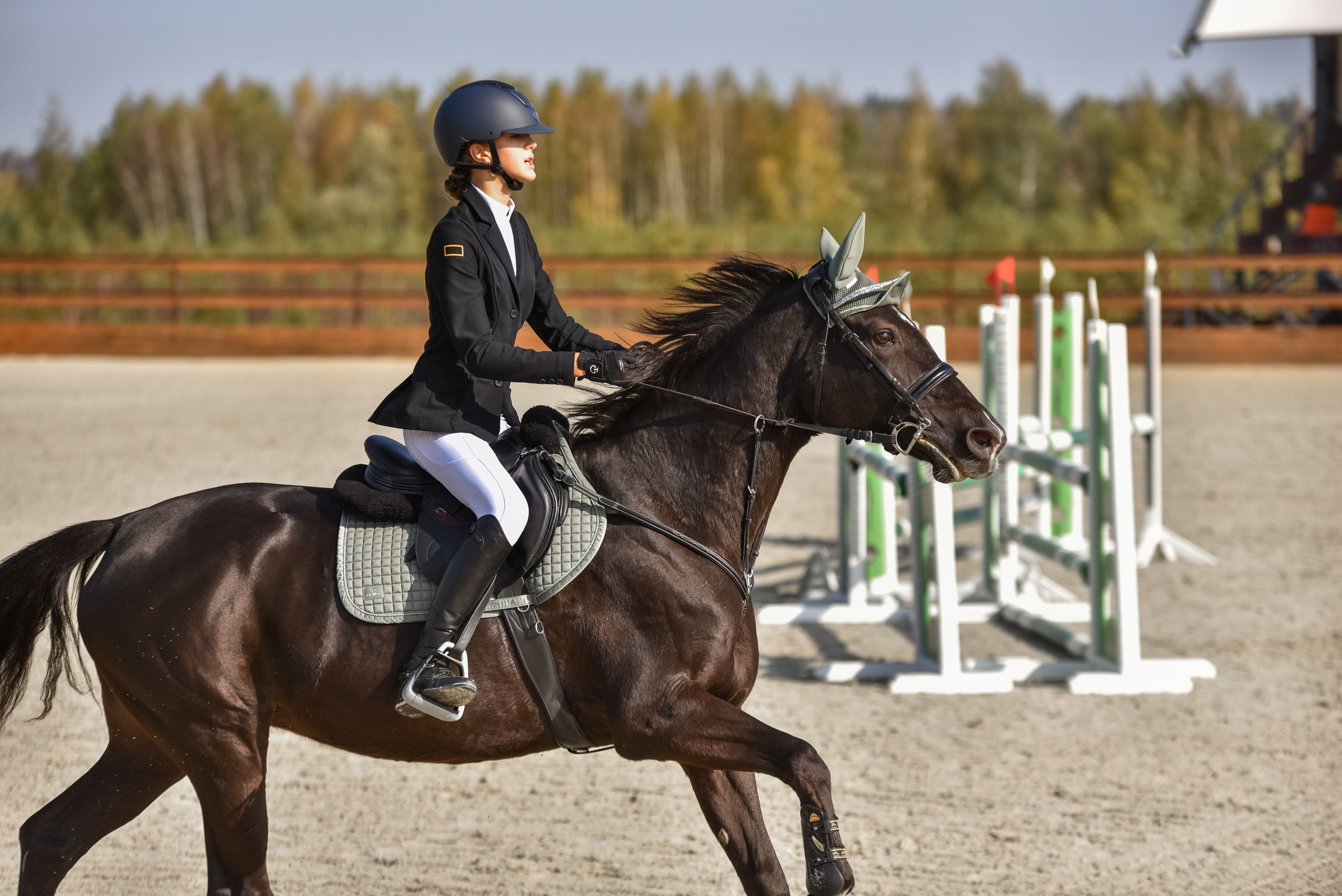 Репортажная съемка конных мероприятий. Конный фотограф из Москвы Ирина Бондаркова