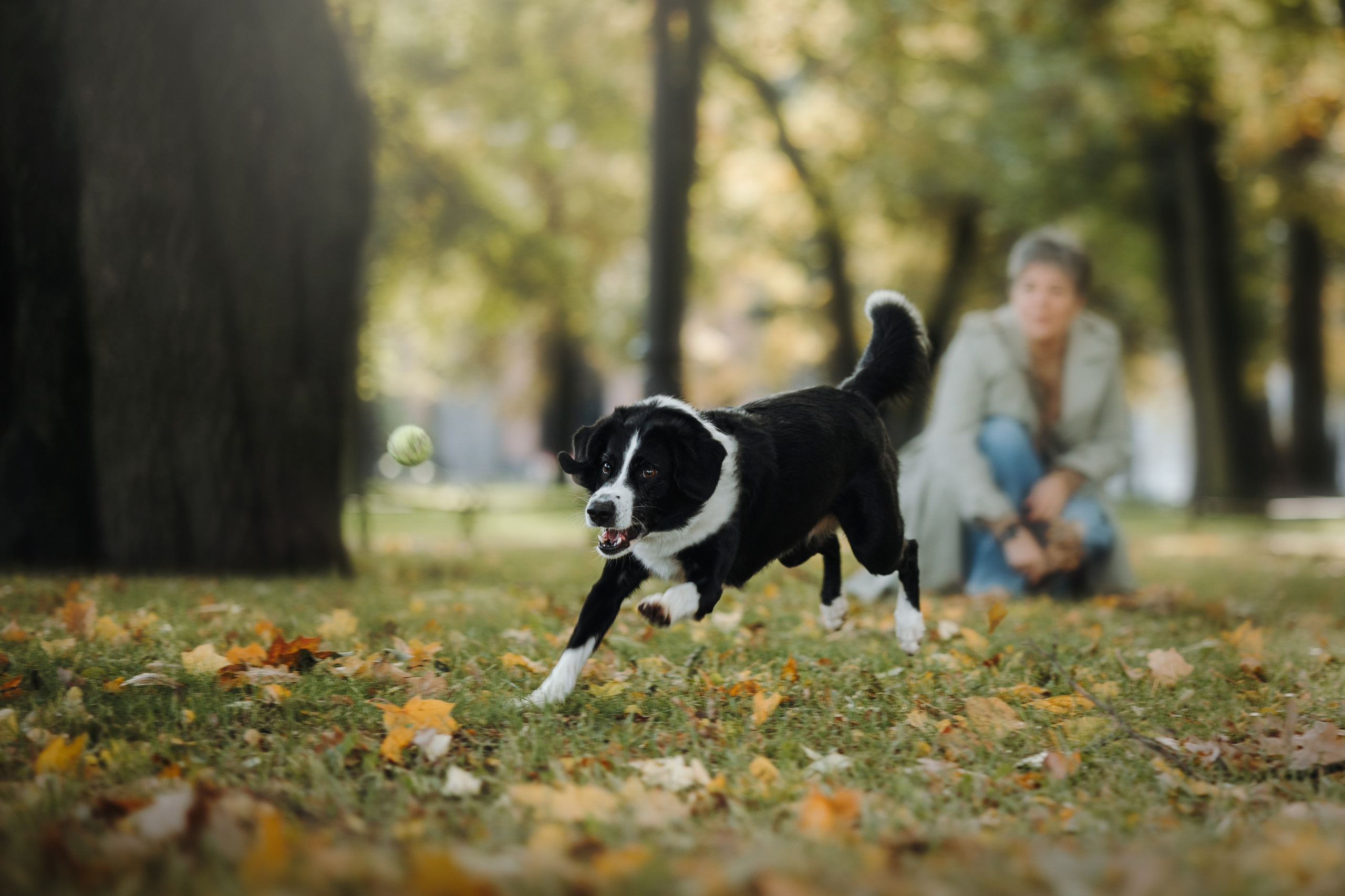 Мишель и ее семья. Фотограф — Анималист | Санкт-Петербург
