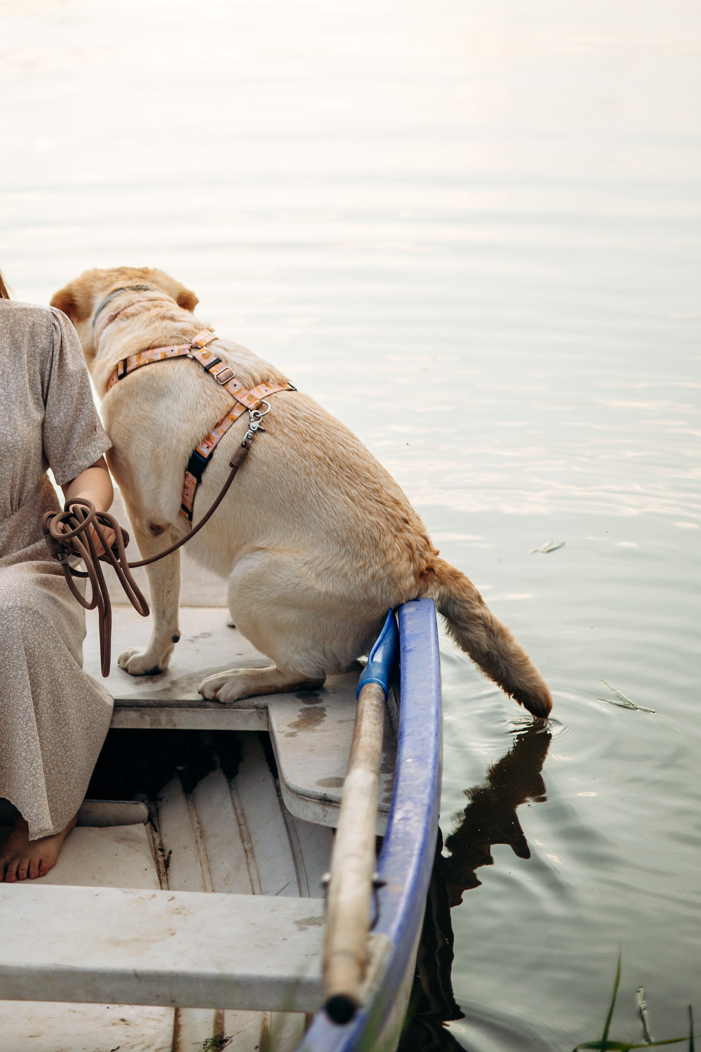 Шани и ее семья. Фотограф — Анималист | Санкт-Петербург