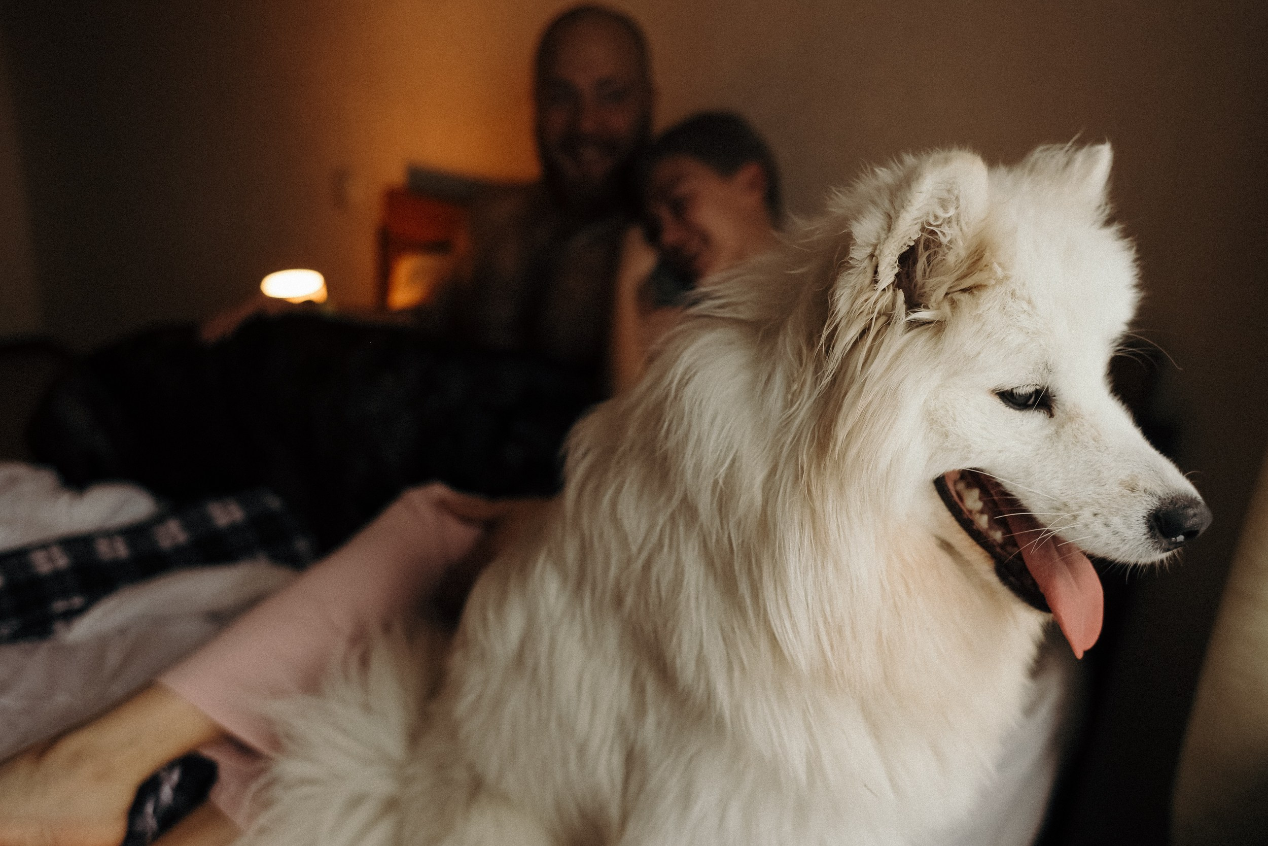 Вдвоем + 2. Фотограф Кемерово