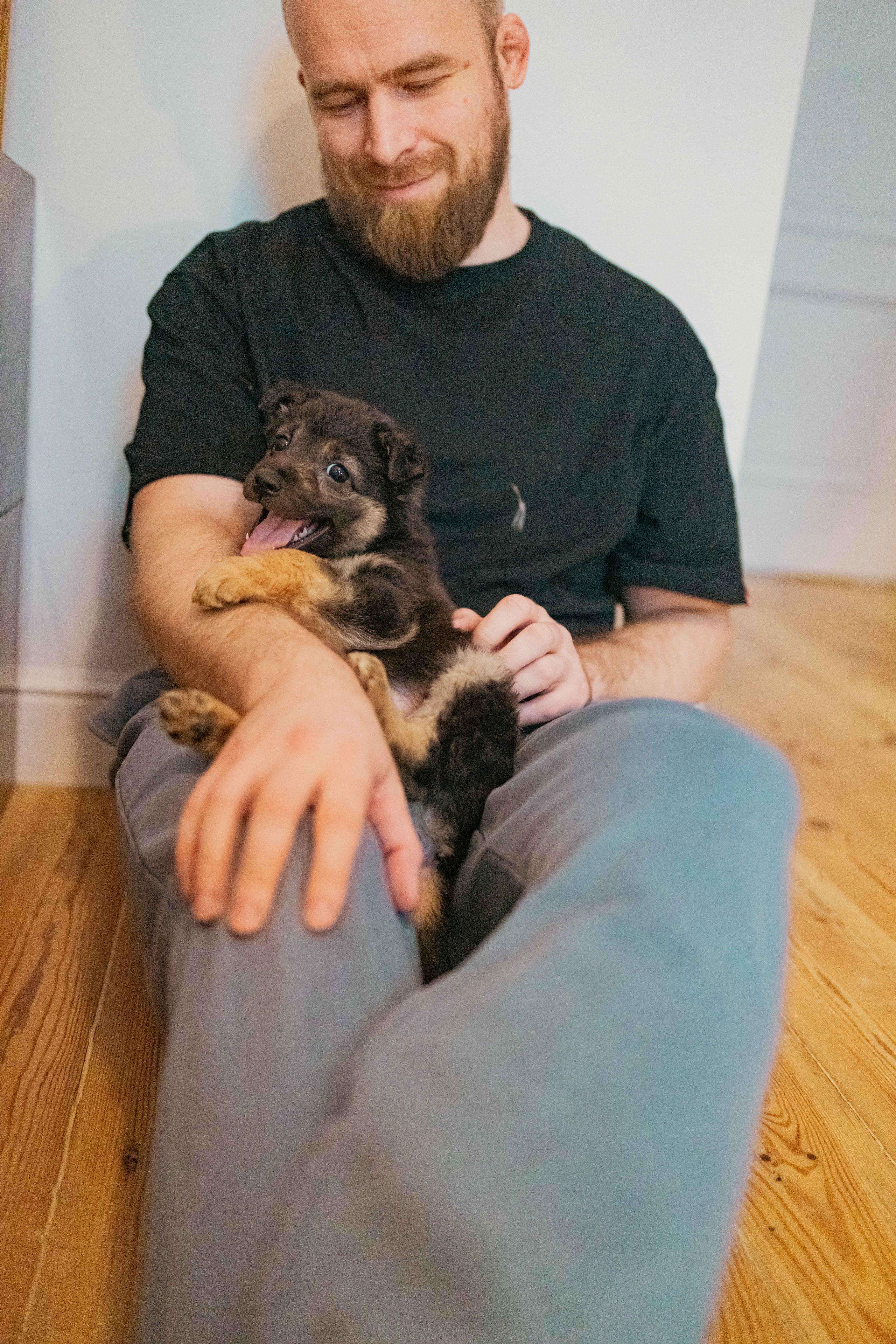 Пеппа. Фотограф-анималист в Москве Лера Черноног