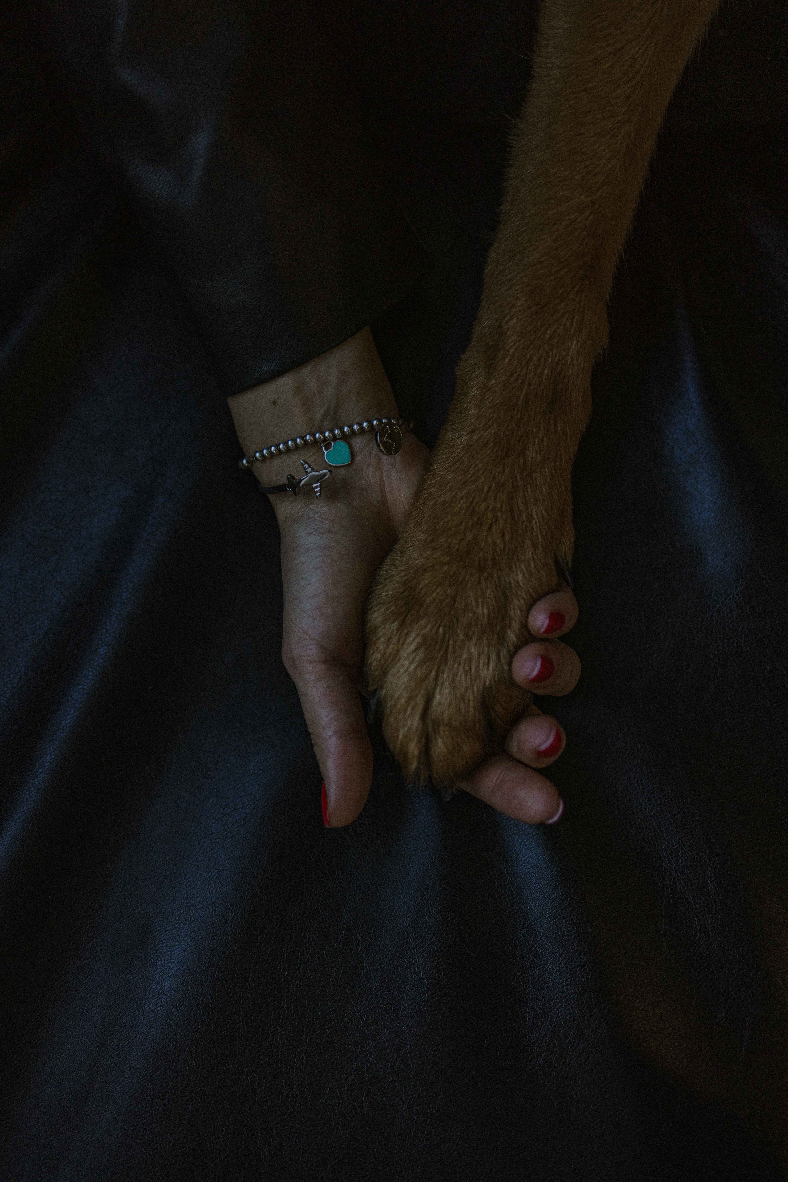 Ася и Буся. Фотограф-анималист в Москве Лера Черноног