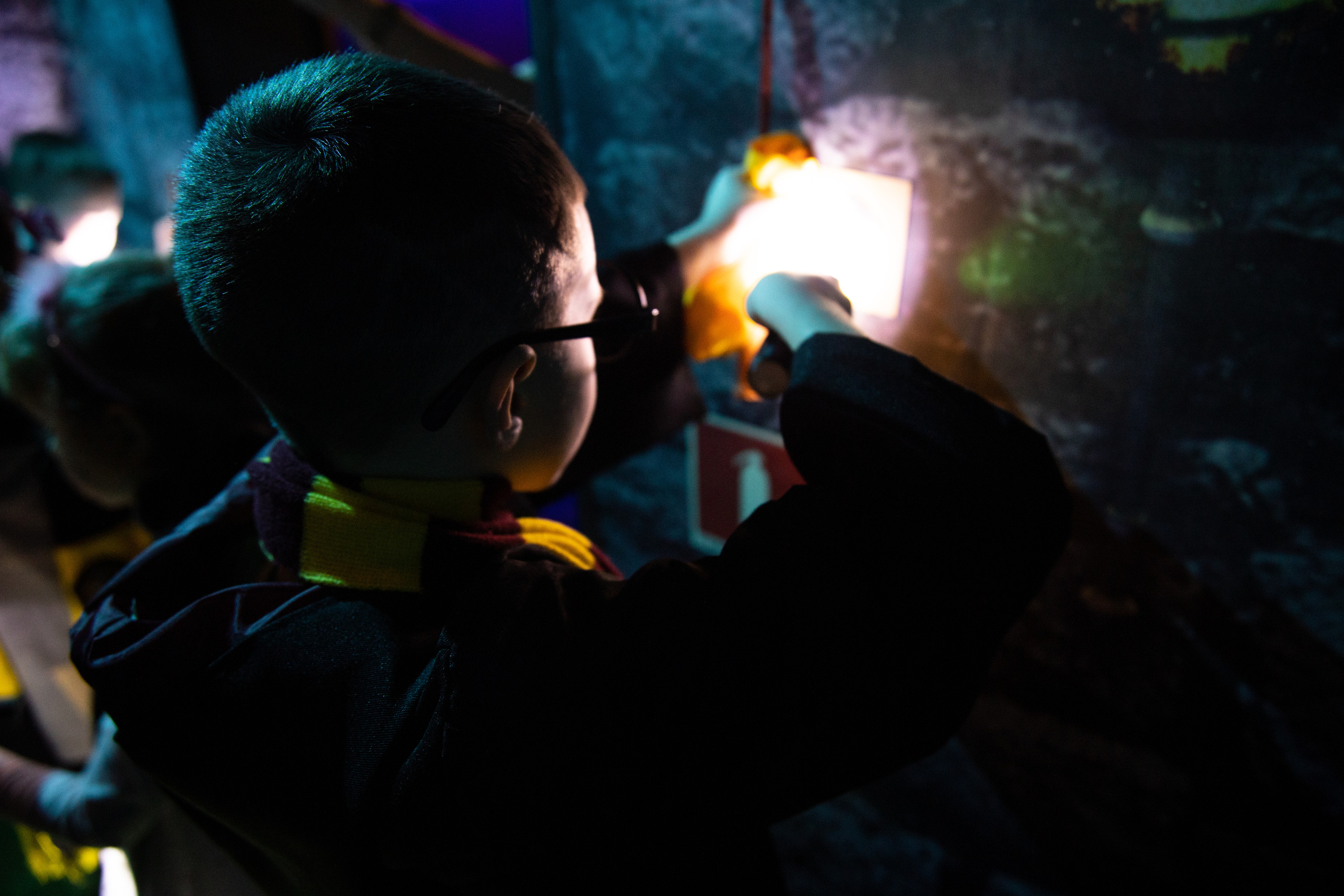 День рождения в стиле Гарри Поттер. Семейный и свадебный фотограф в Санкт-Петербурге Татьяна Швыкова