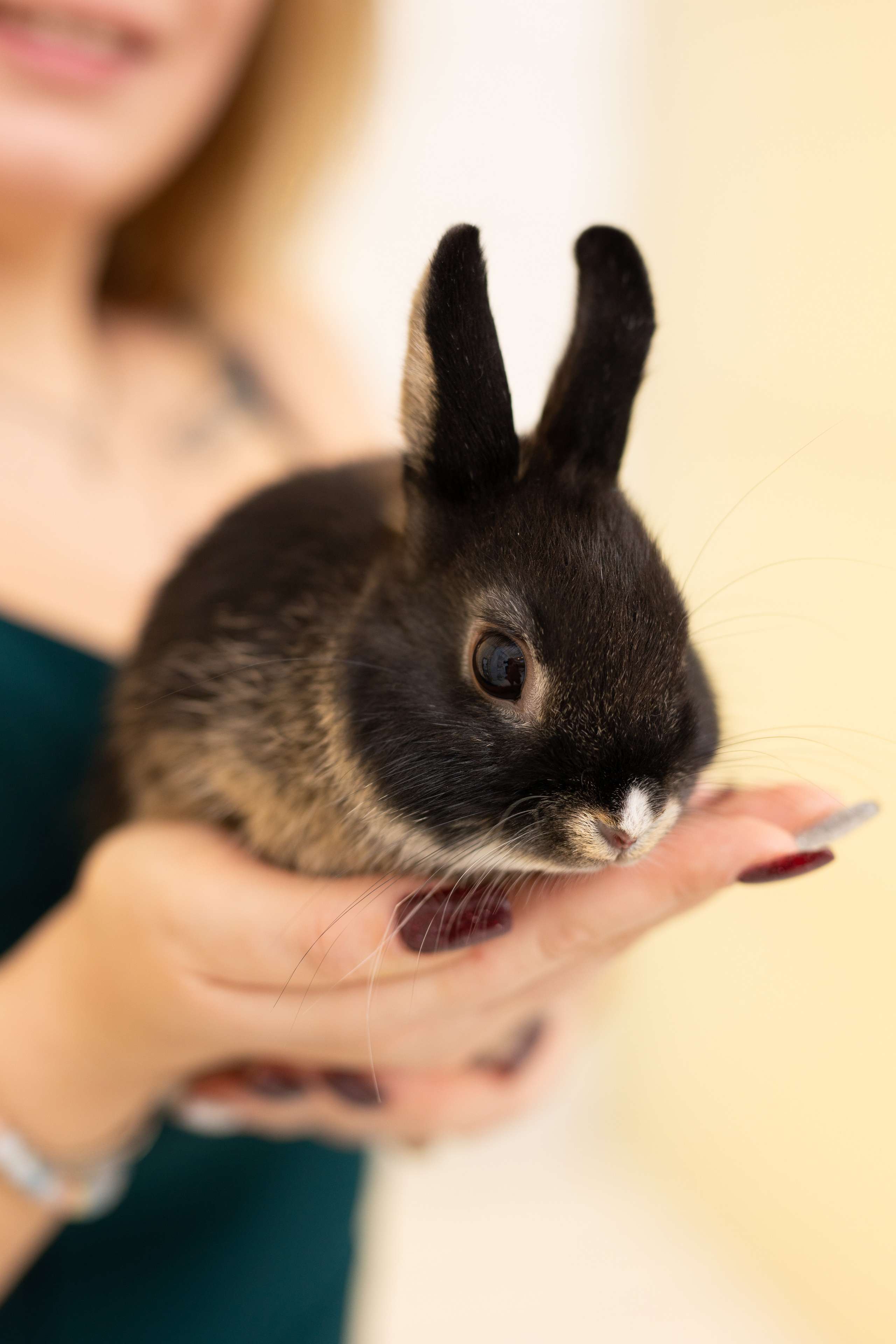 Новогодние съёмки в студии. Семейный и свадебный фотограф в Санкт-Петербурге Татьяна Швыкова