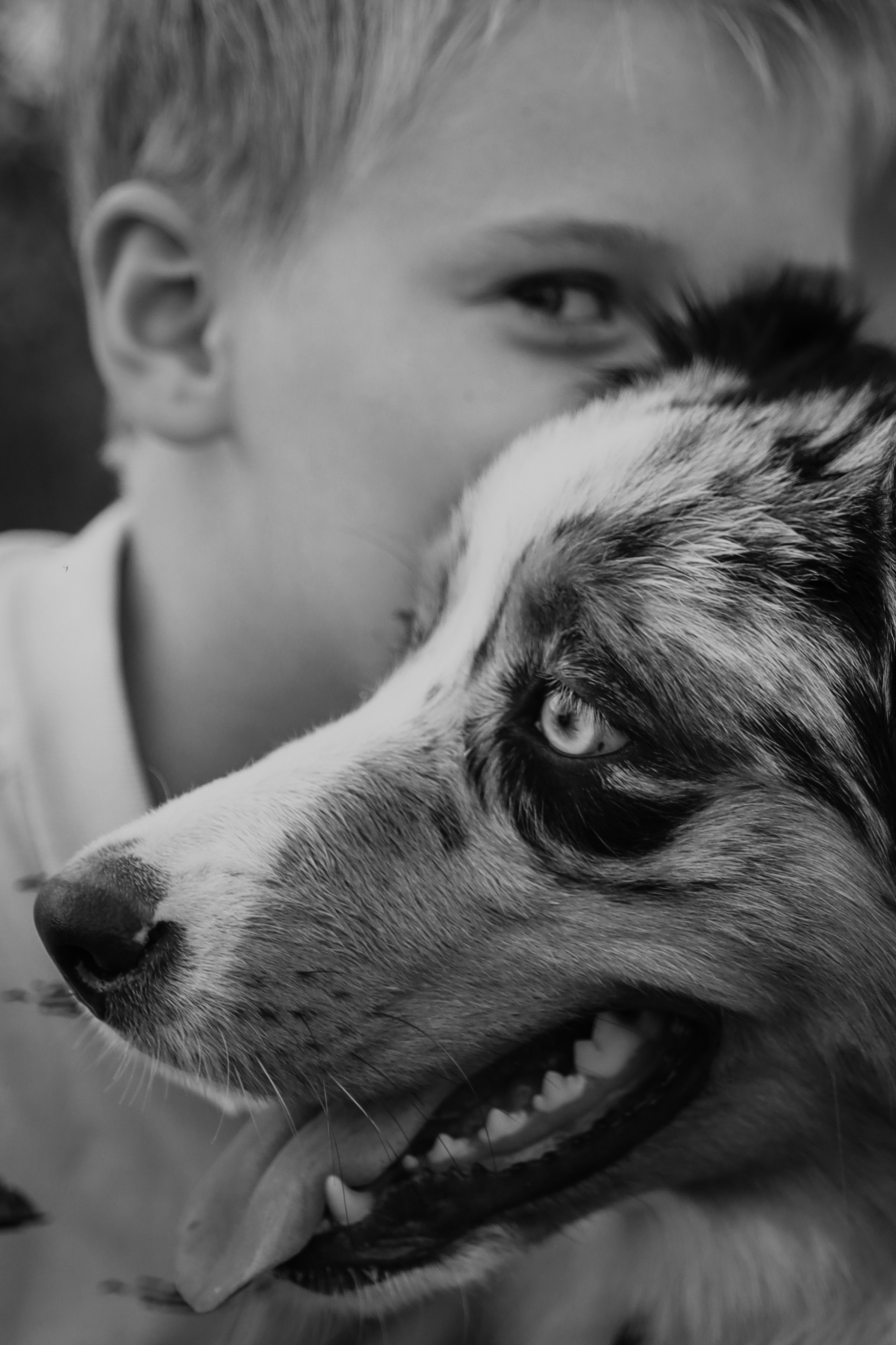 С собаками. Фотограф в Серпухове и Тарусе Ксения Царёва