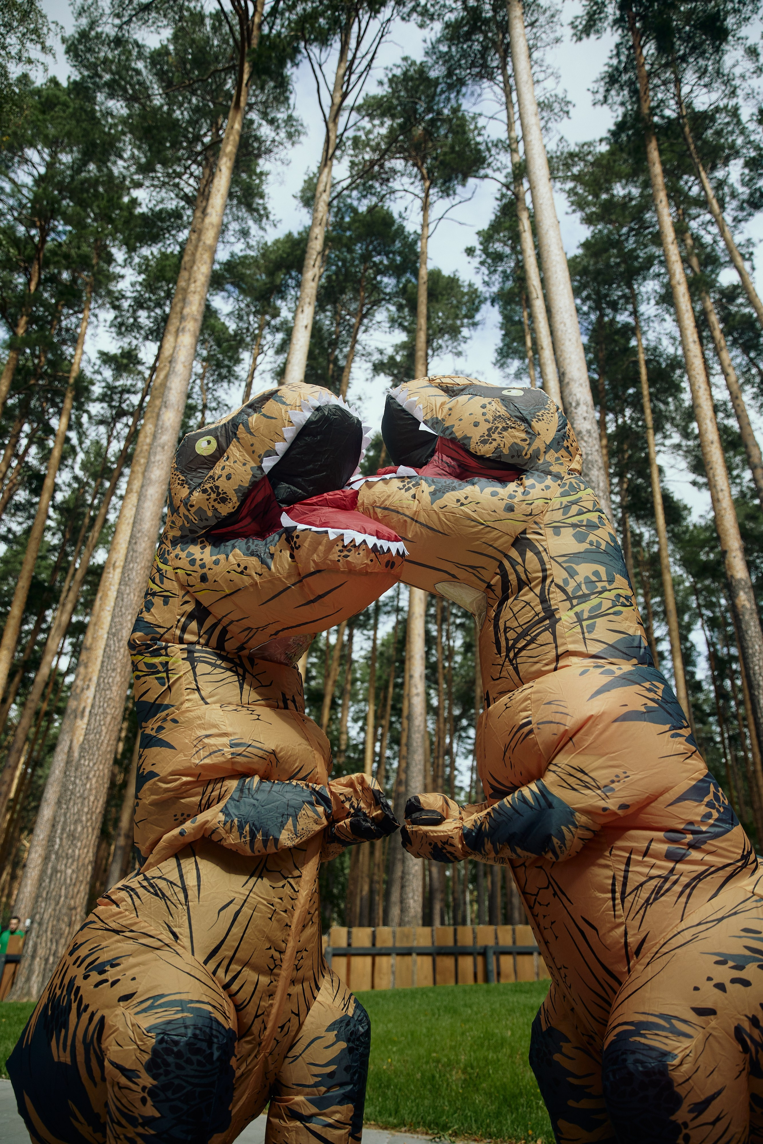 AVLN TEN YEARS. Дмитрий Мазуркевич: Профессиональный Репортажный Фотограф