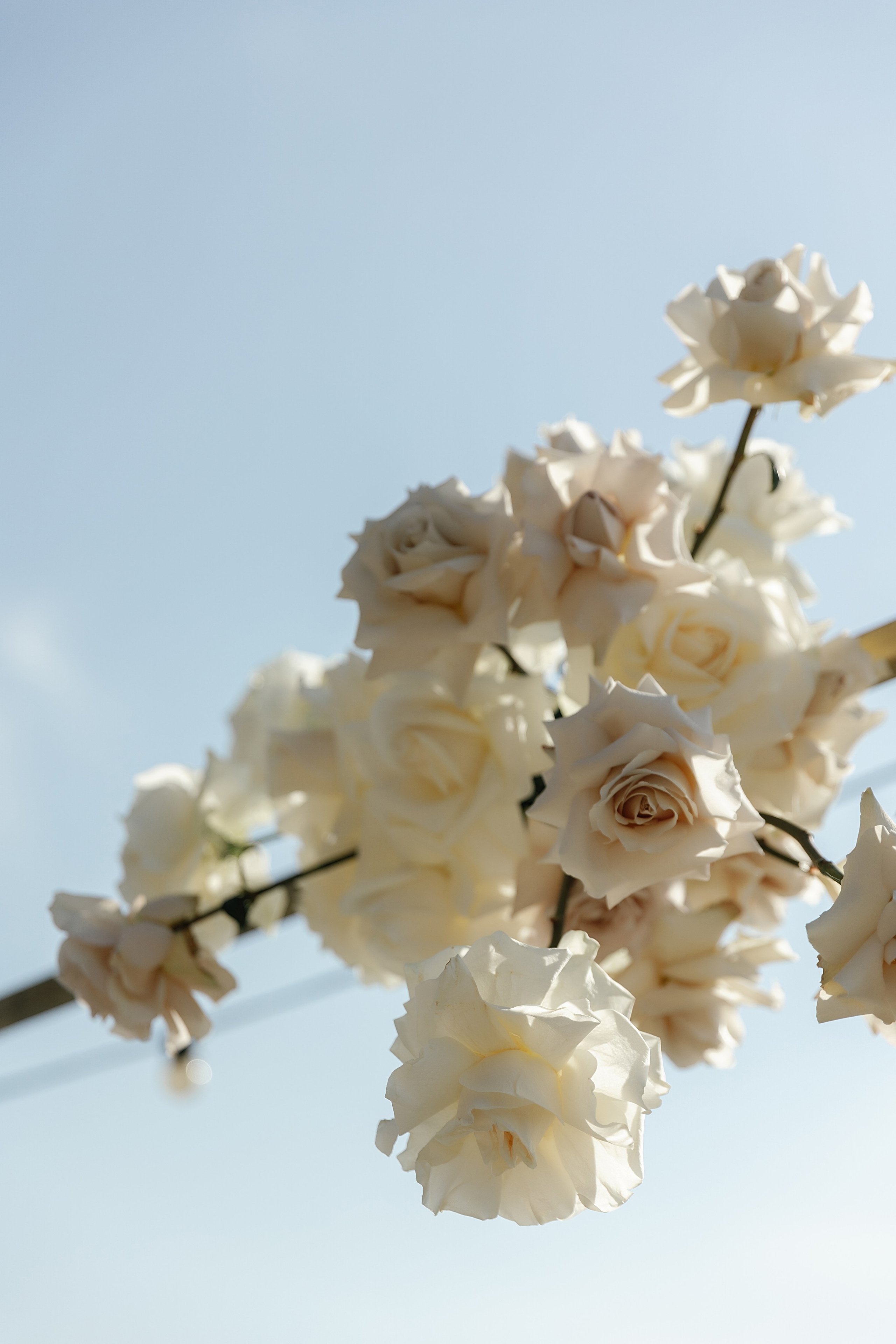 Юрий и Анастасия. Свадебный и семейный фотограф Харольцева Наталья