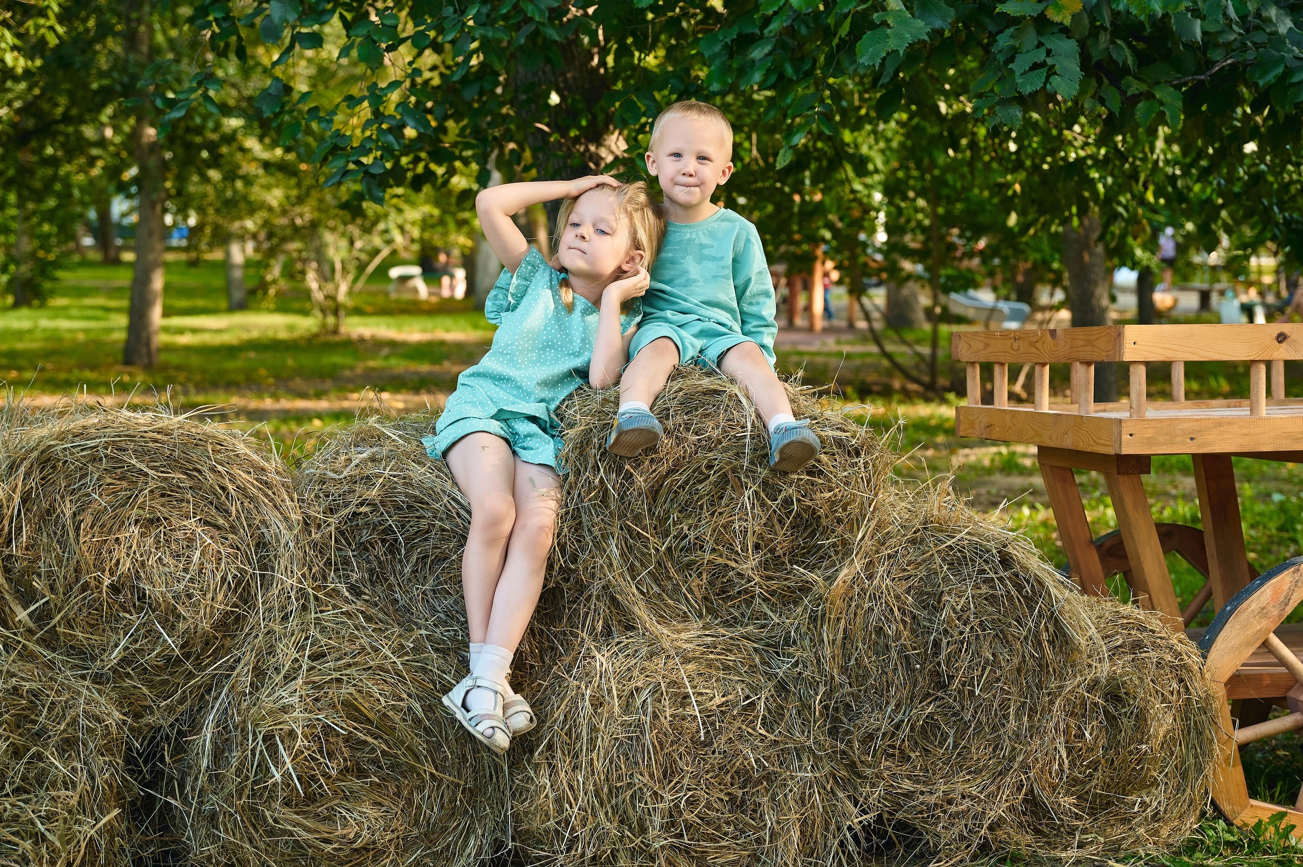 Общее портфолио. Фотограф Опыт Качество Скорость Горный Алтай Барнаул