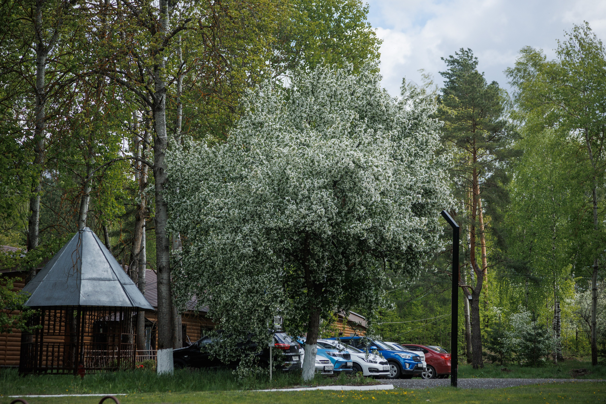 База отдыха «Металлург». Фотограф городских и семейных событий в Нижнем Новгороде Артем Карпухин