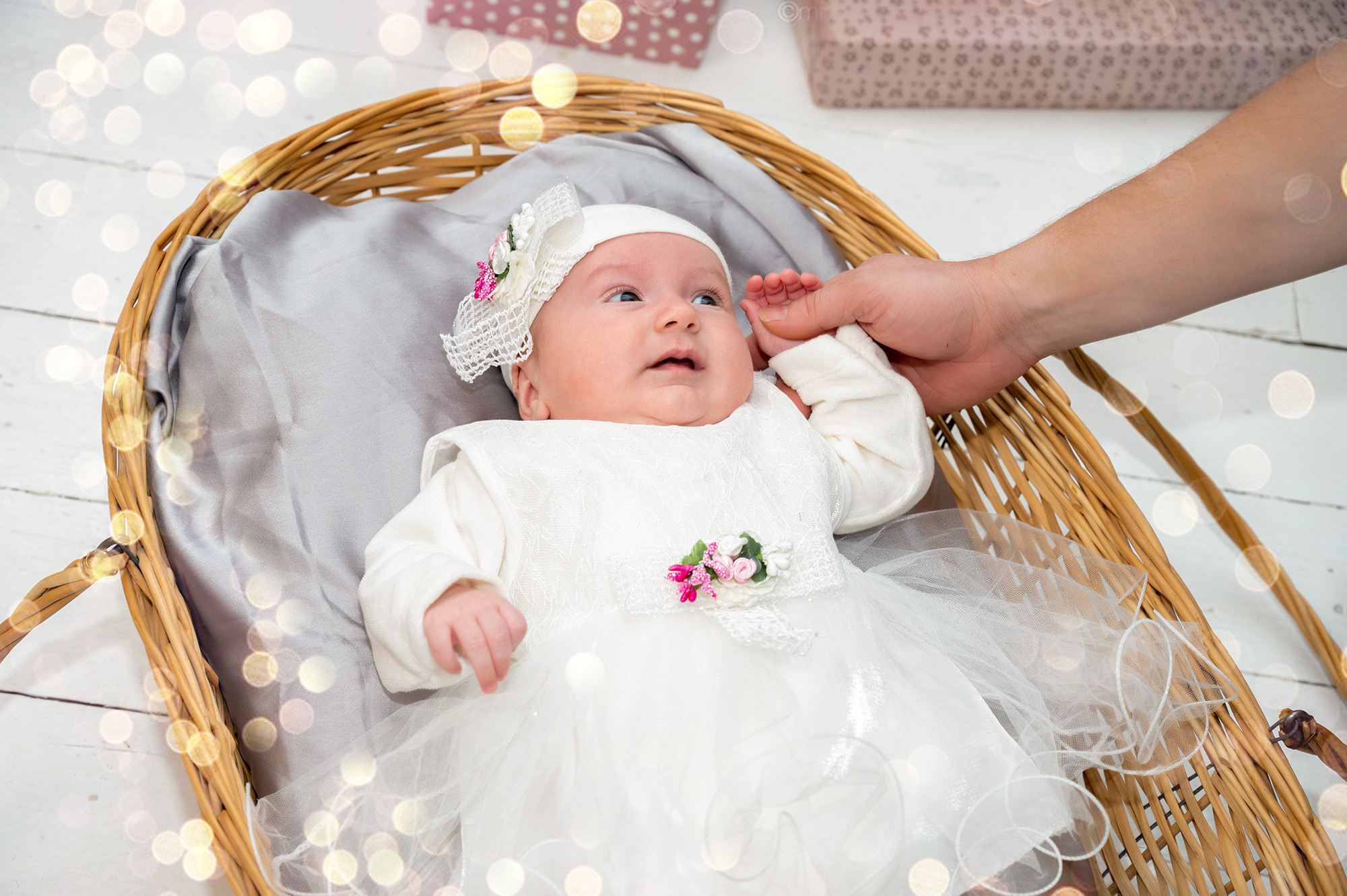 Новогодняя фотосессия семейная. Семейный и детский фотограф в детских садах и школах