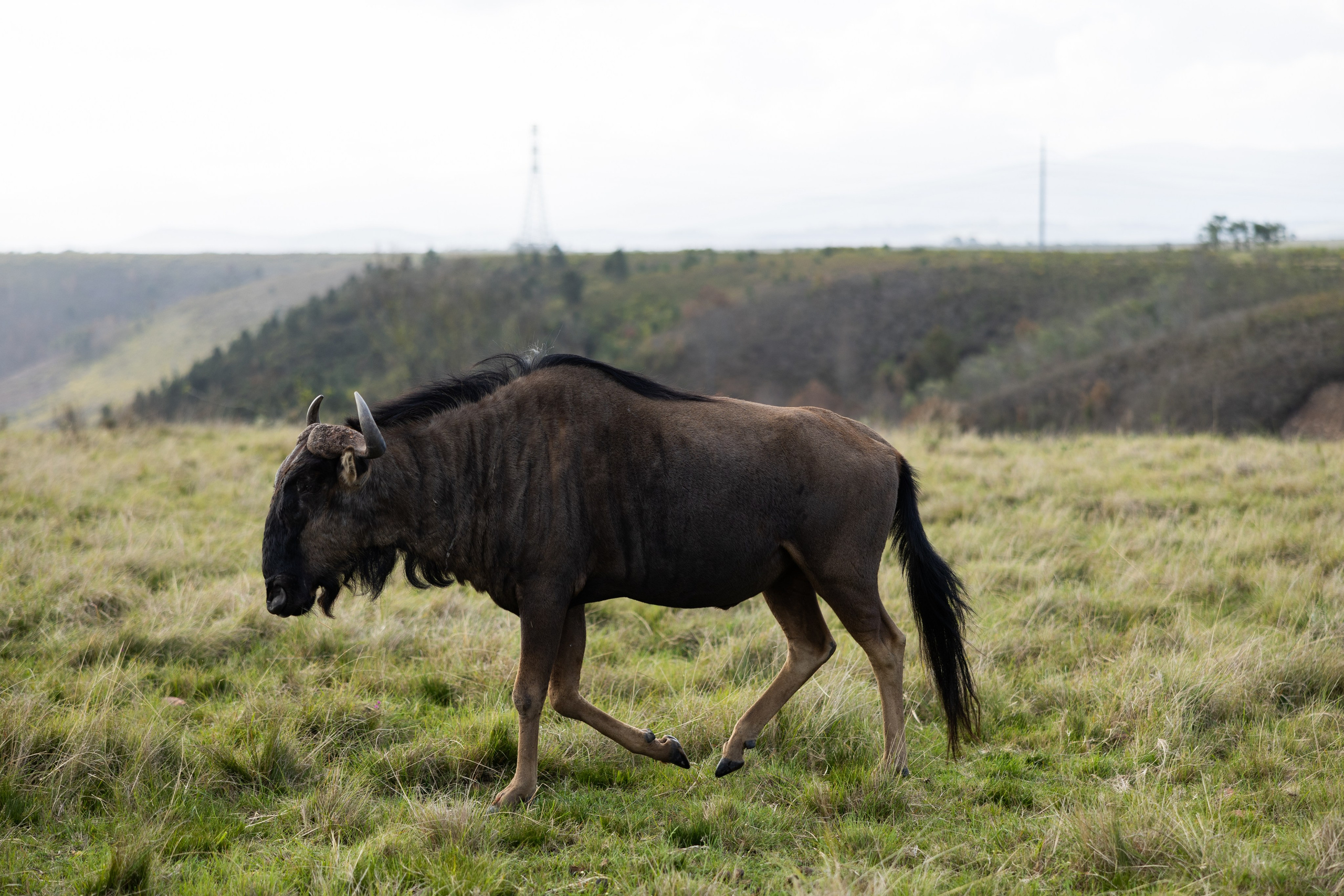 Travel. Лайфстайл Фотограф и Профессиональный Водный Фотограф в Москве