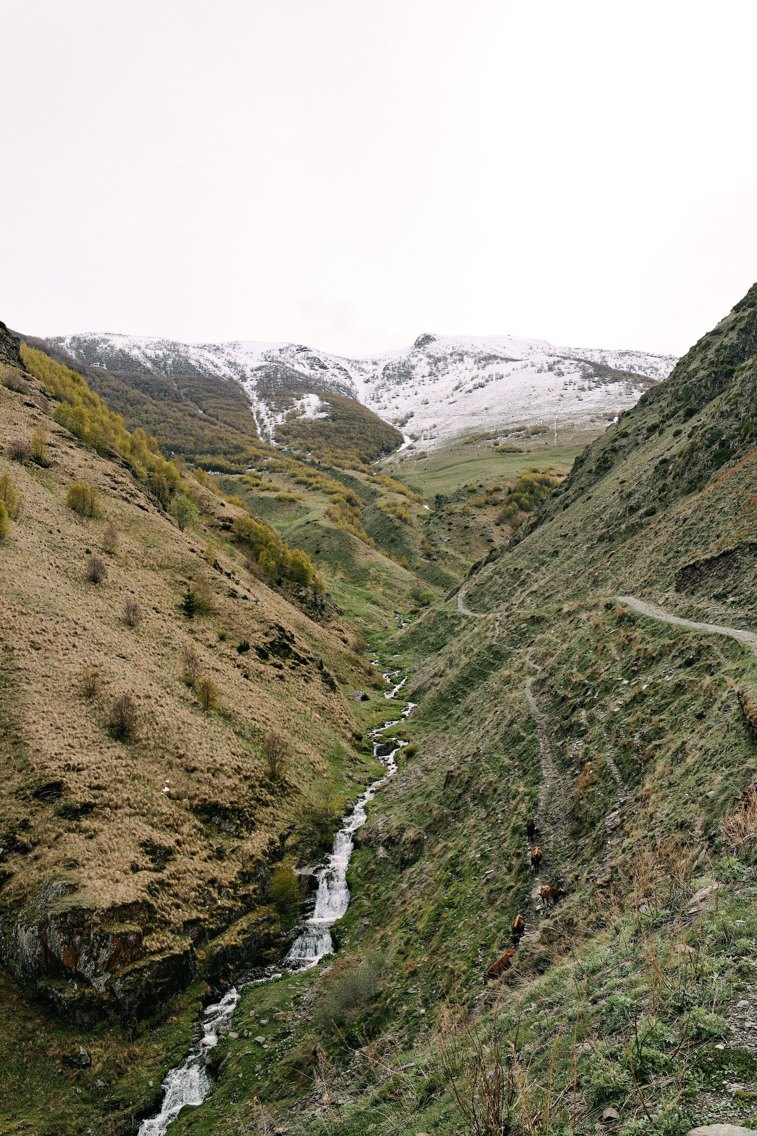 Грузия. Профессиональный Фотограф во Владимире, в Москве и в Суздале — Полина Романычева