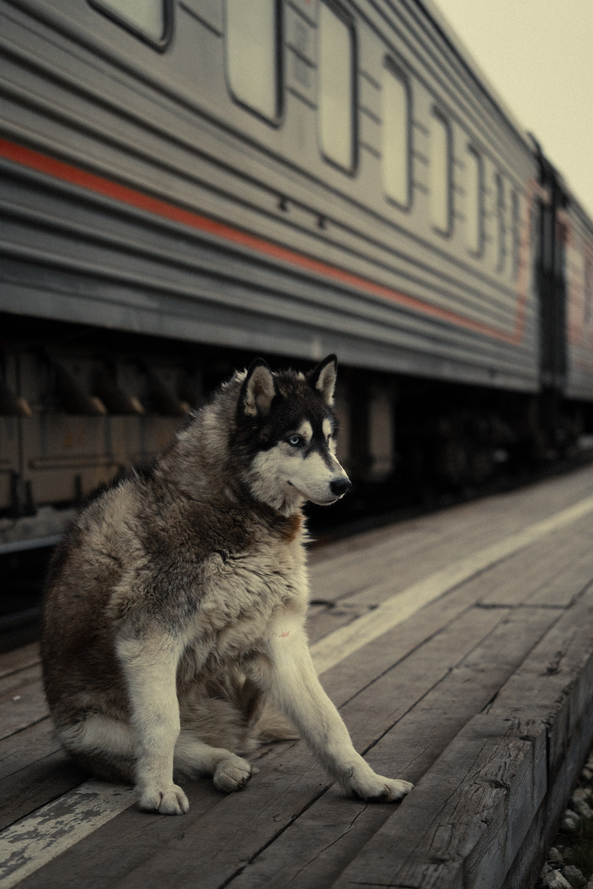 Уральские горы, Октябрь 2024