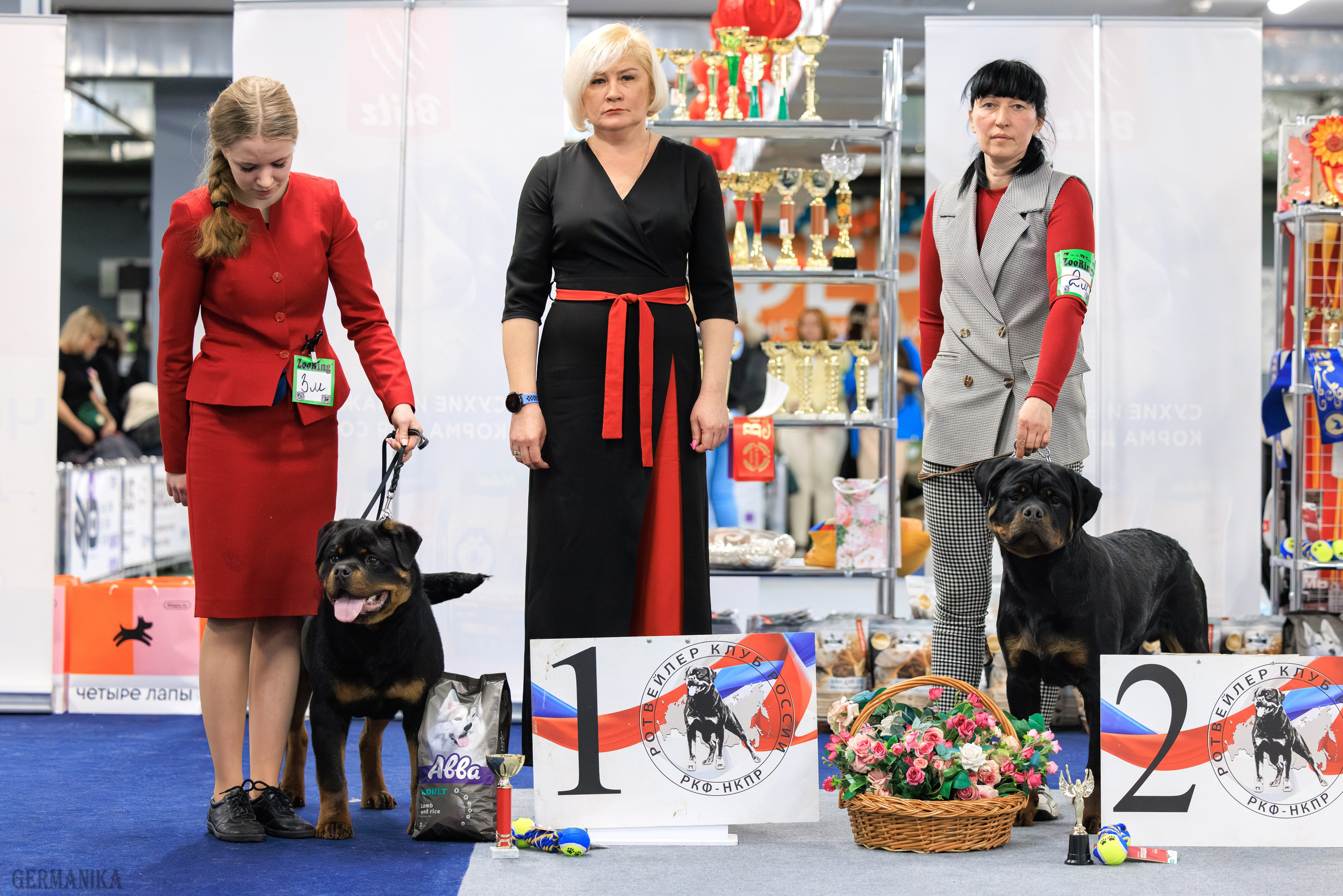 Сфера 08 и 10.03.2024 2хмоно ротвейлеров+2хмоно сао. Фотограф-анималист Юлия Германика