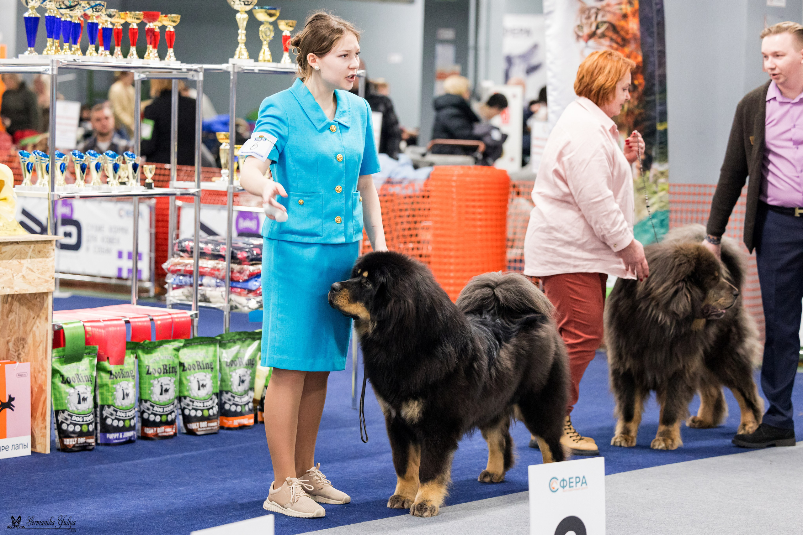 Сфера 28.01. и 4.02.2024. Фотограф-анималист Юлия Германика