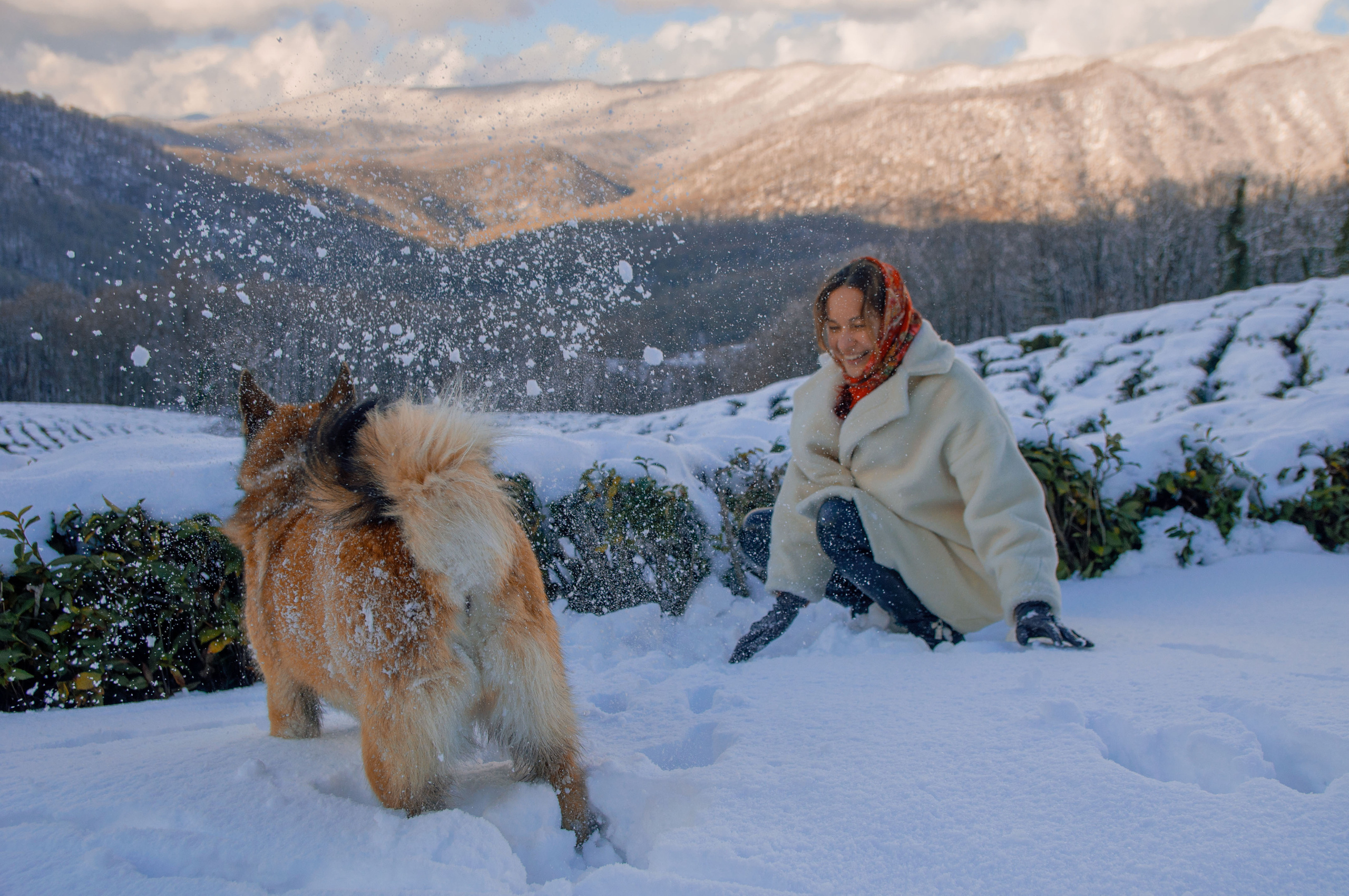 В снегу. Главная