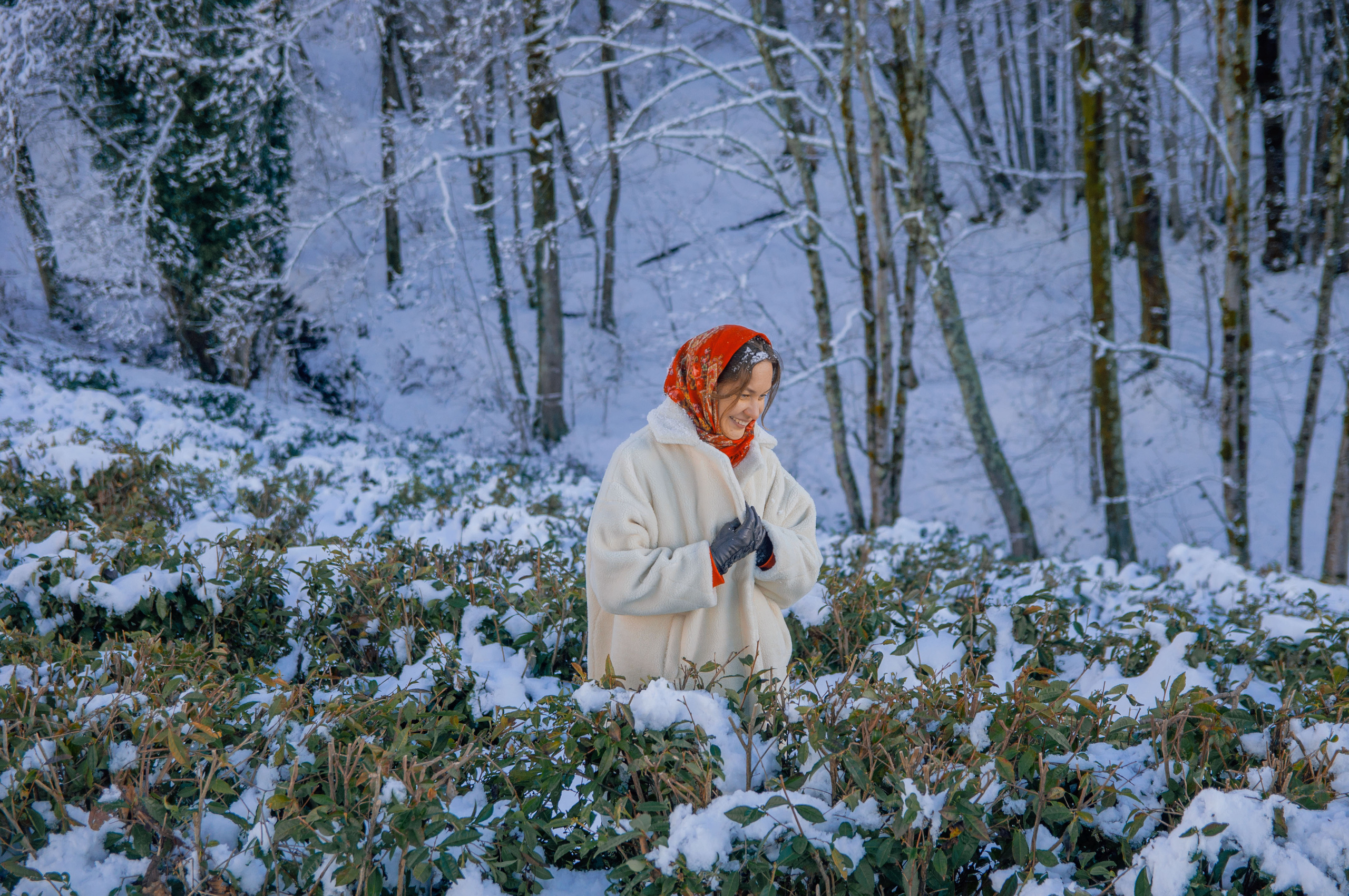 В снегу. Главная