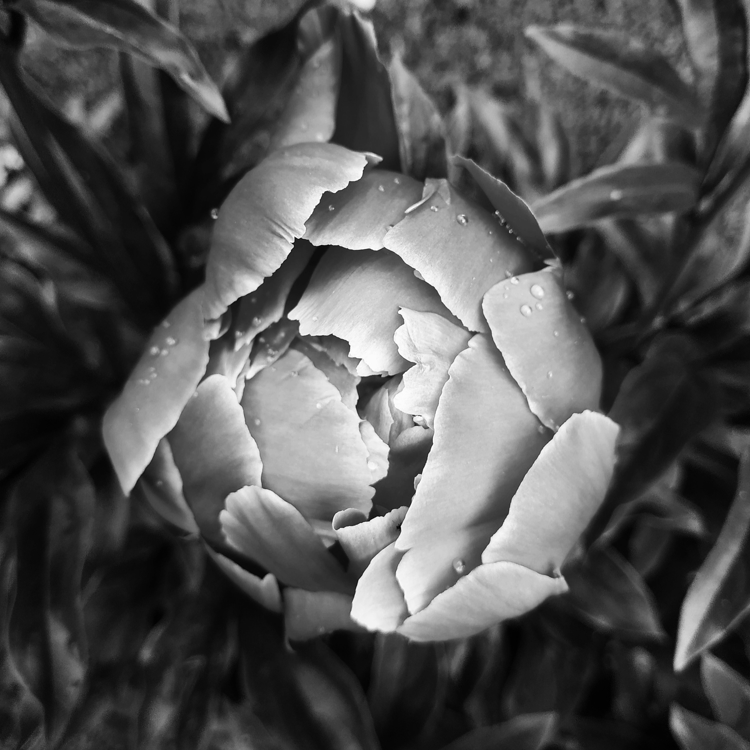 Природа. Настасья Проценко. Фотограф