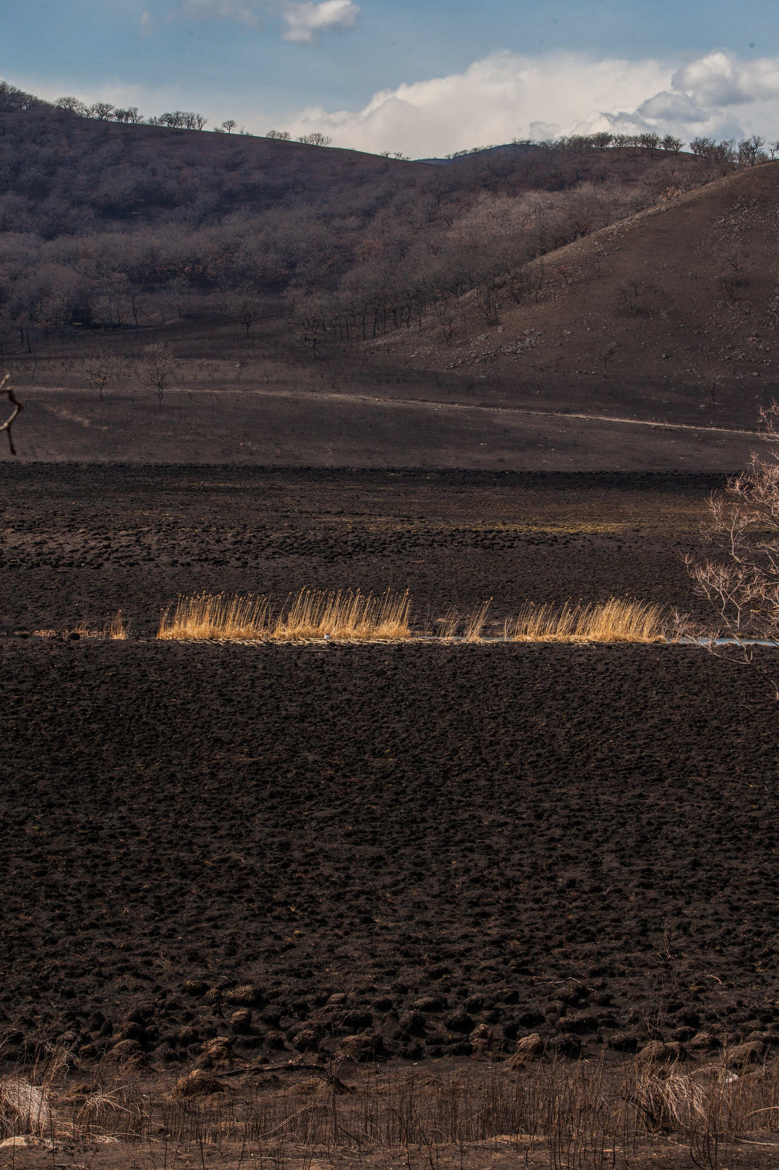 Пейзаж. Репортажный Фотограф во Владивостоке и России Осипчук Дмитрий