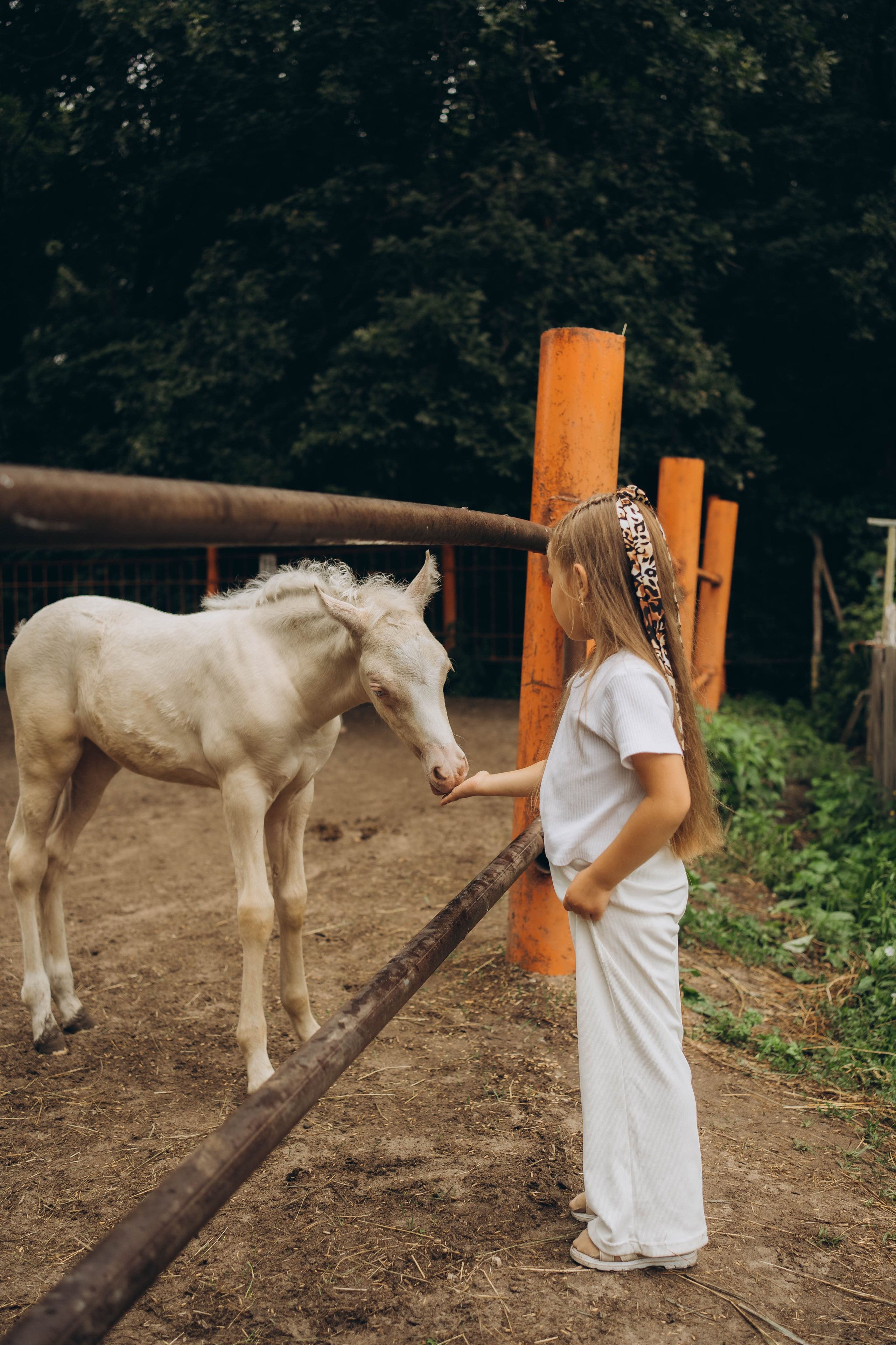 Семейные прогулки ульяновск. Семейный и детский фотограф новорожденных Ульяновск