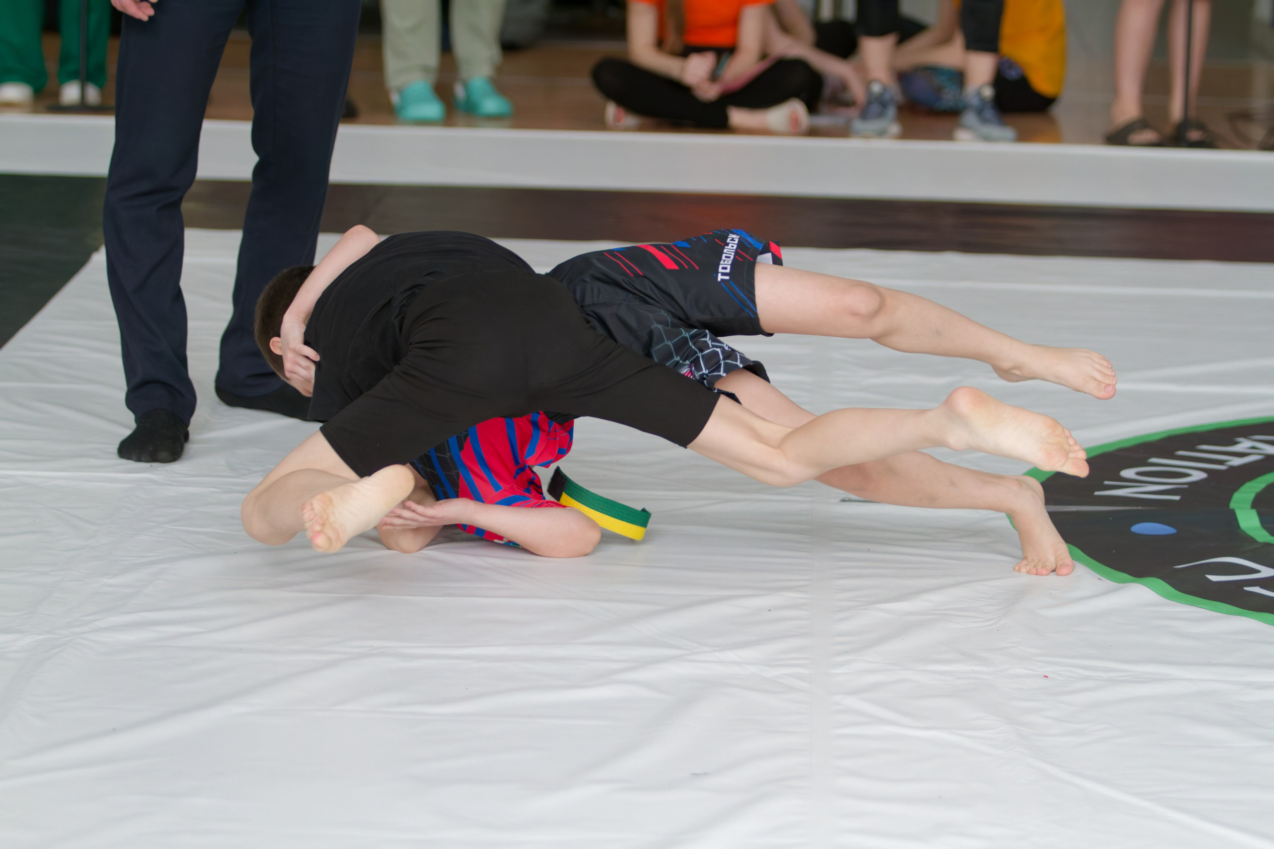 Борьба. Джиу-джитсу 26.04.2025. Репортажный и спортивный фотограф в г. Пермь Зильберг Павел