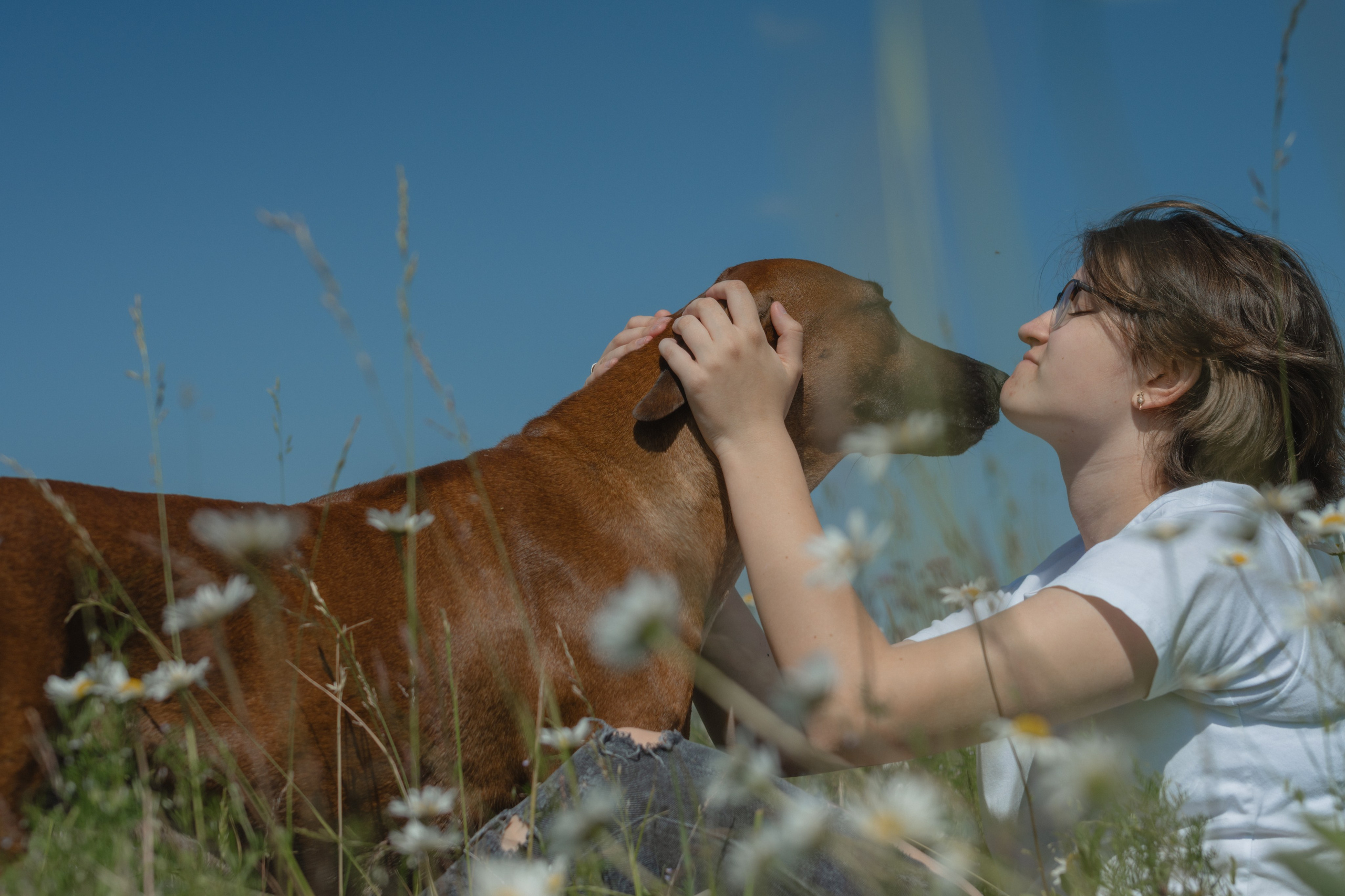 Белла ❤️. Семейный фотограф и анималист в Москве и Московской области