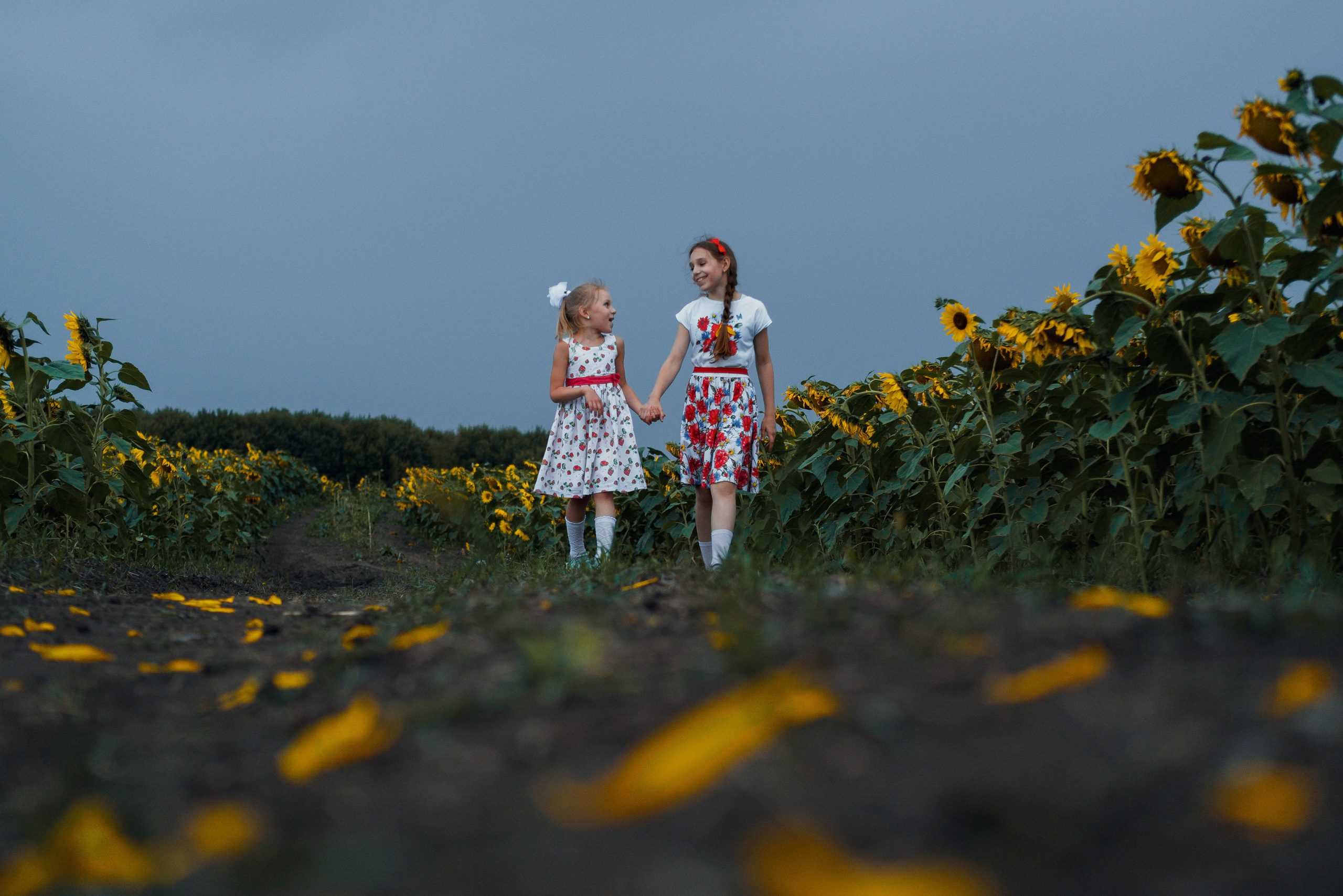 Отзывы. Семейный и женский фотограф в Новомосковске и Узловой Михеева Татьяна