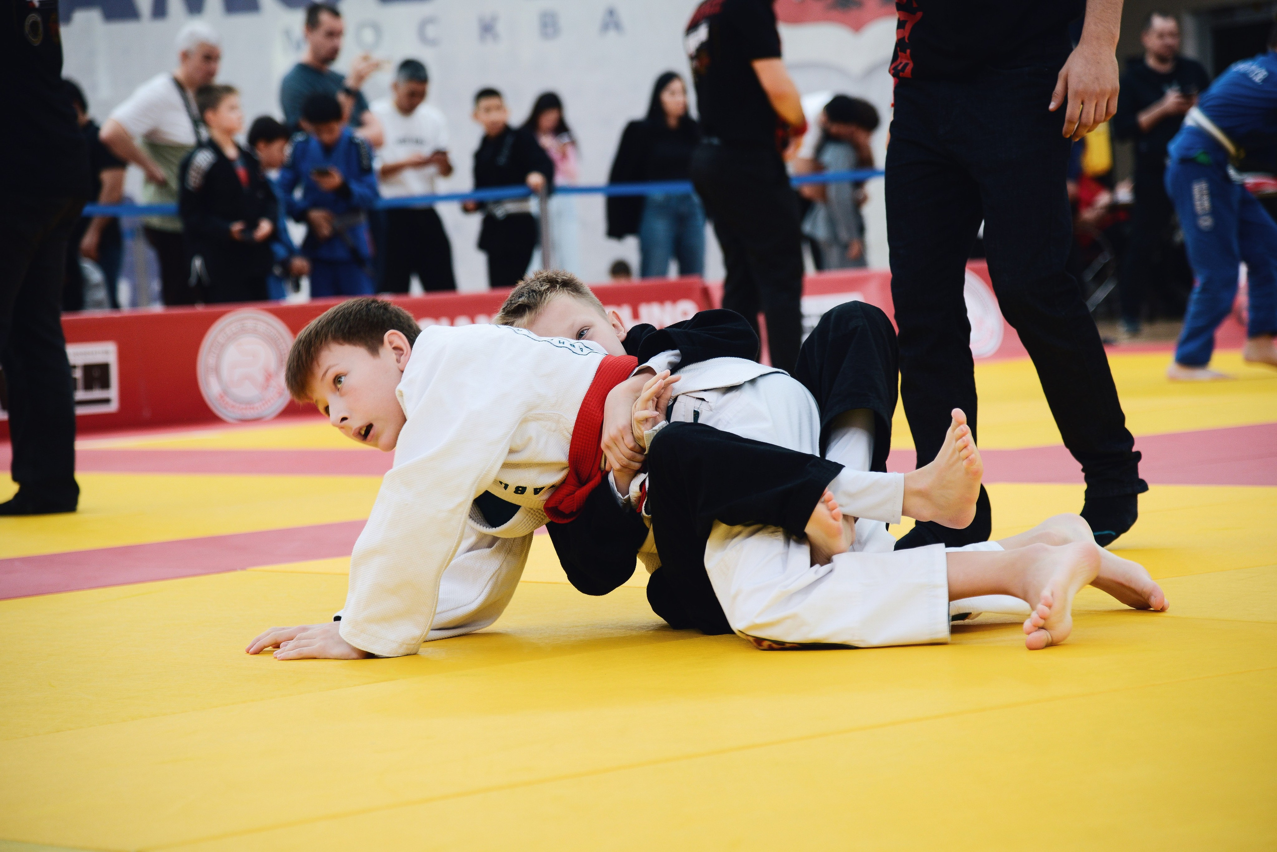 Всероссийский турнир по Бразильскому Джиу-Джитцу «Rock&Rolling 32» Gi + (No-Gi). Спортивный фотограф в Москве | Наталья K