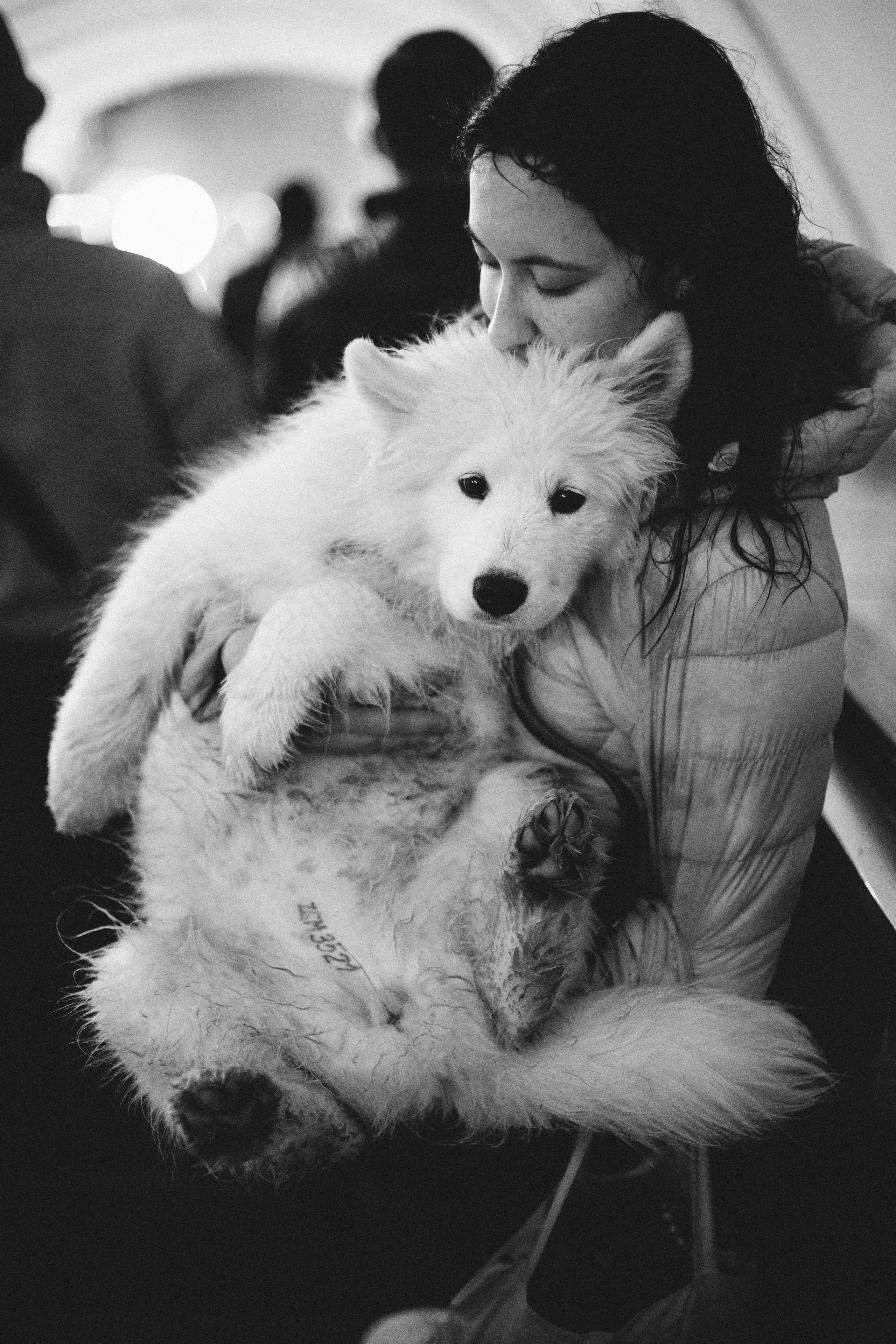 Кая и Даяна. Фотограф анималист в Москве Майорова Евгения