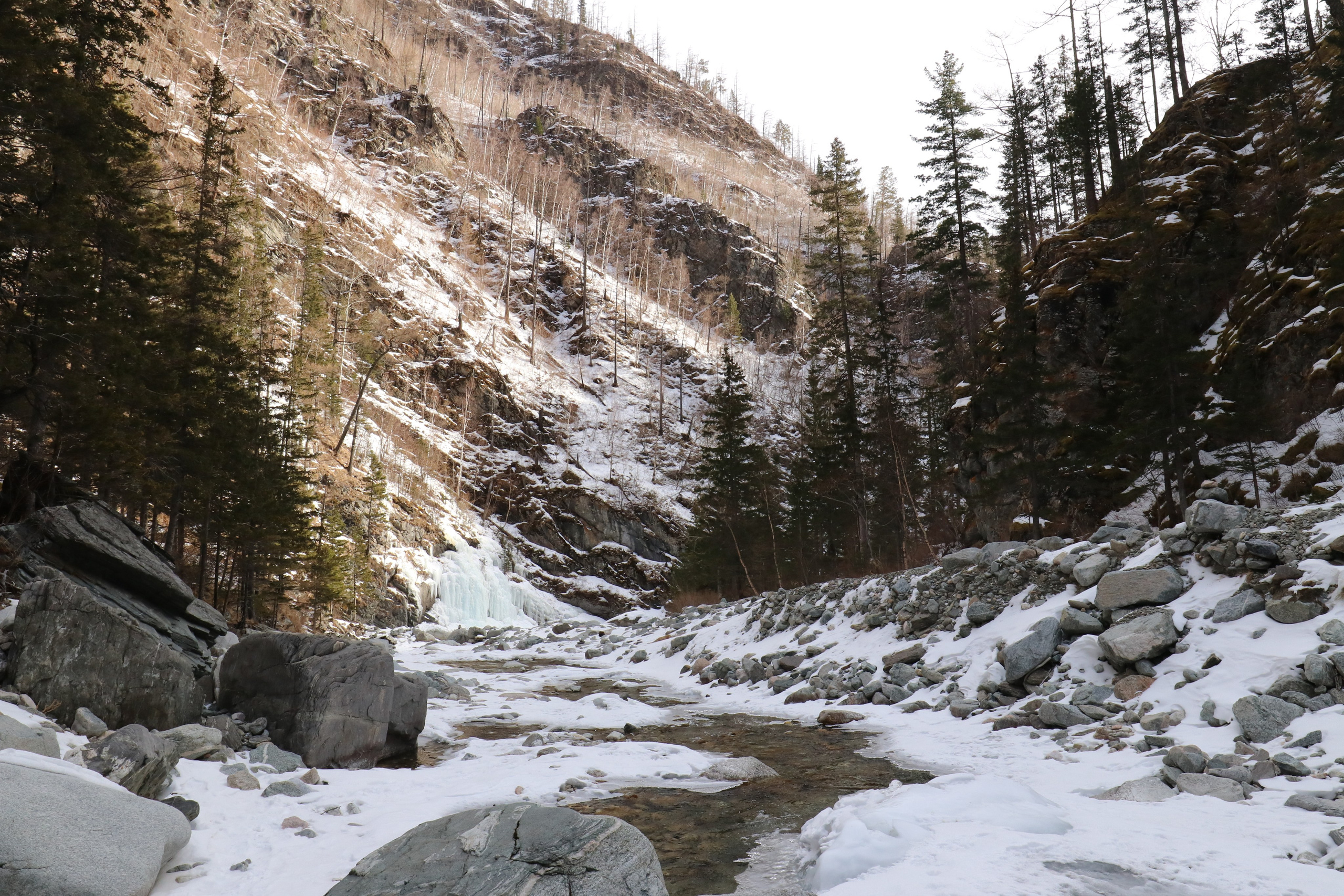Аршан. Март 2023. Путешественник-фотограф из Санкт-Петербурга Татьяна Свистулина