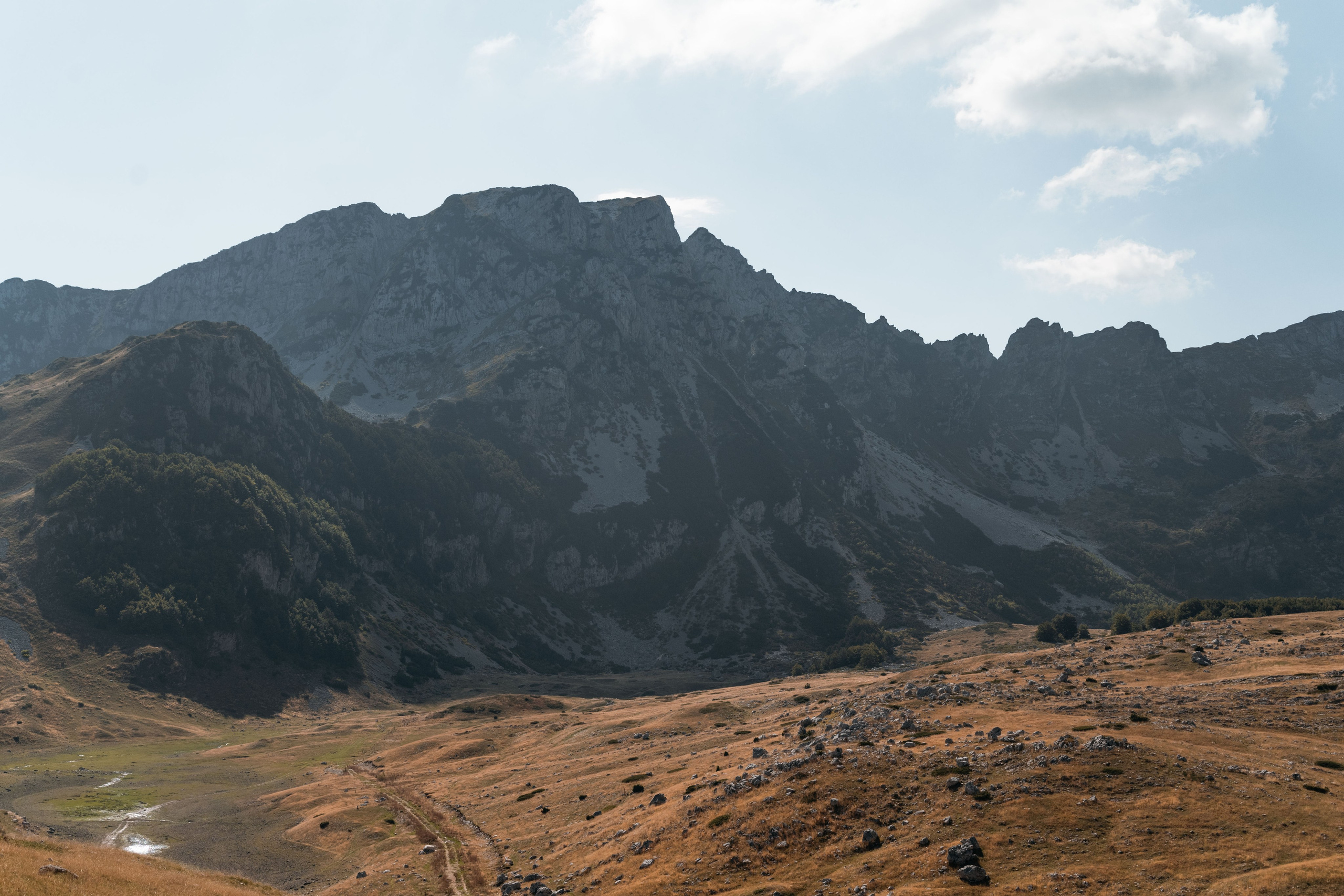 ПРУТАЖ. ЧЕРНОГОРИЯ. Фотограф в Белграде Чугреева Елена