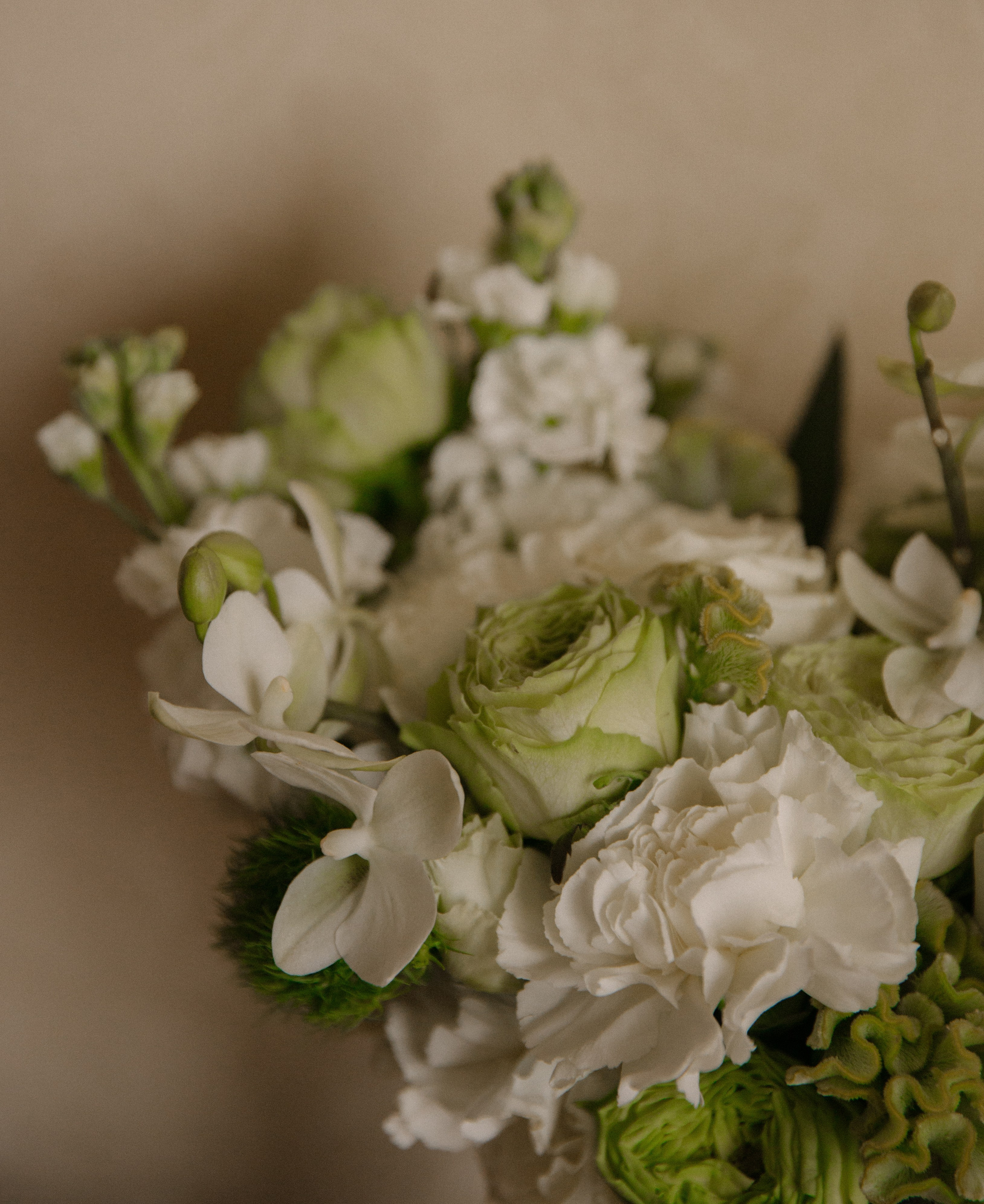 Маргарита | Кирилл. Фотограф в Краснодаре и Краснодарском крае