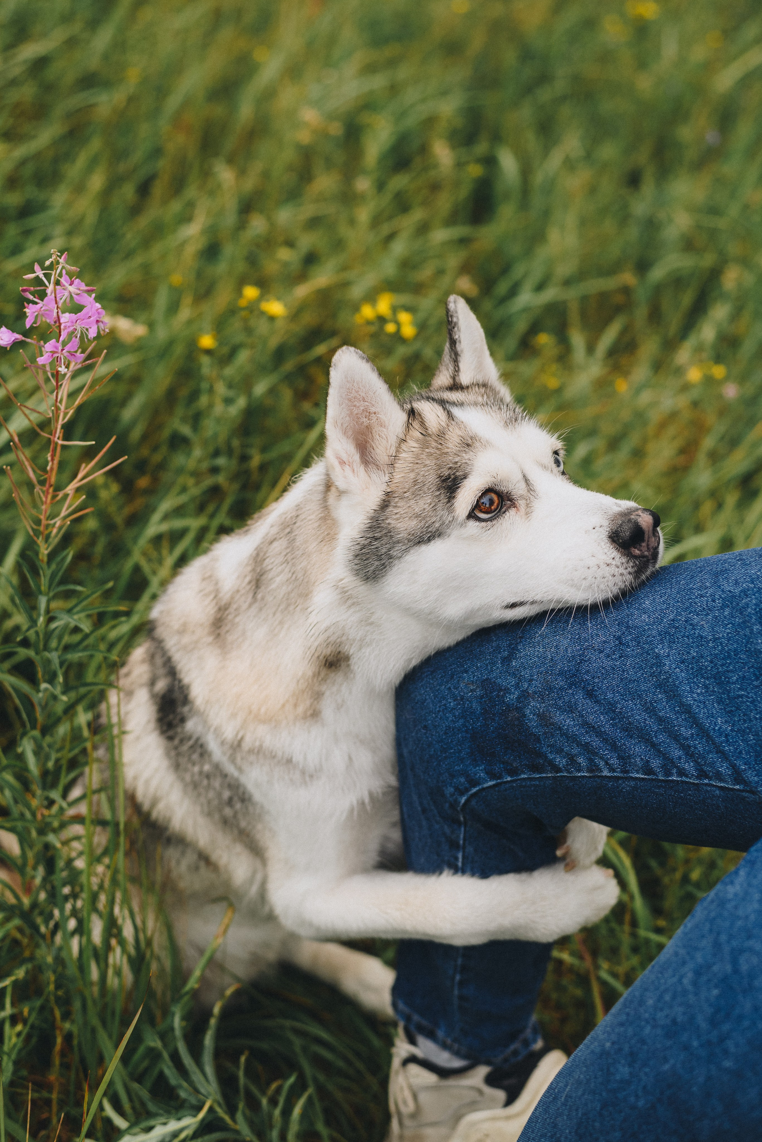 Lilya & Eva. Natalia Finch Photography — Family, Kids & Pet Photographer in Chicago, IL