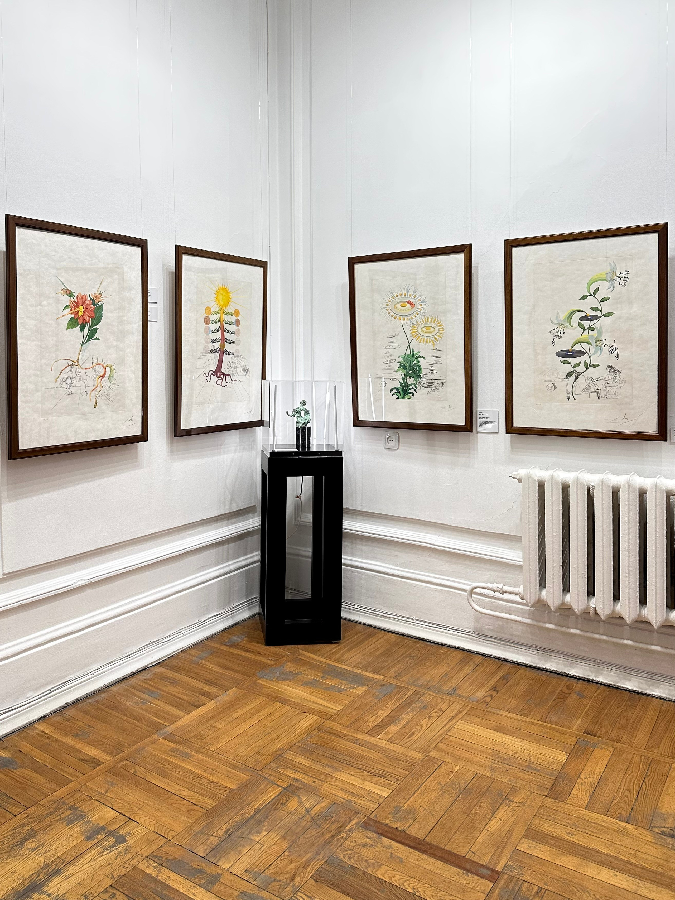 Выставка Дали & Пикассо. Фотосессии и репортаж — Фотограф в Москве — Рина Серёгина