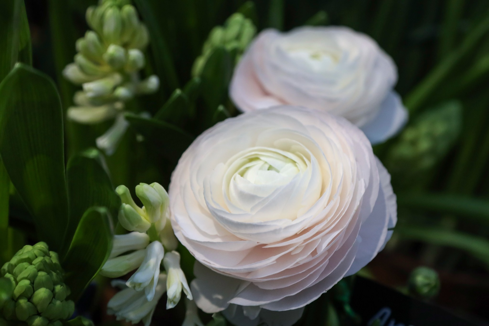 Фотографии с выставки Репетиция весны. Фотосессии и репортаж — Фотограф в Москве — Рина Серёгина