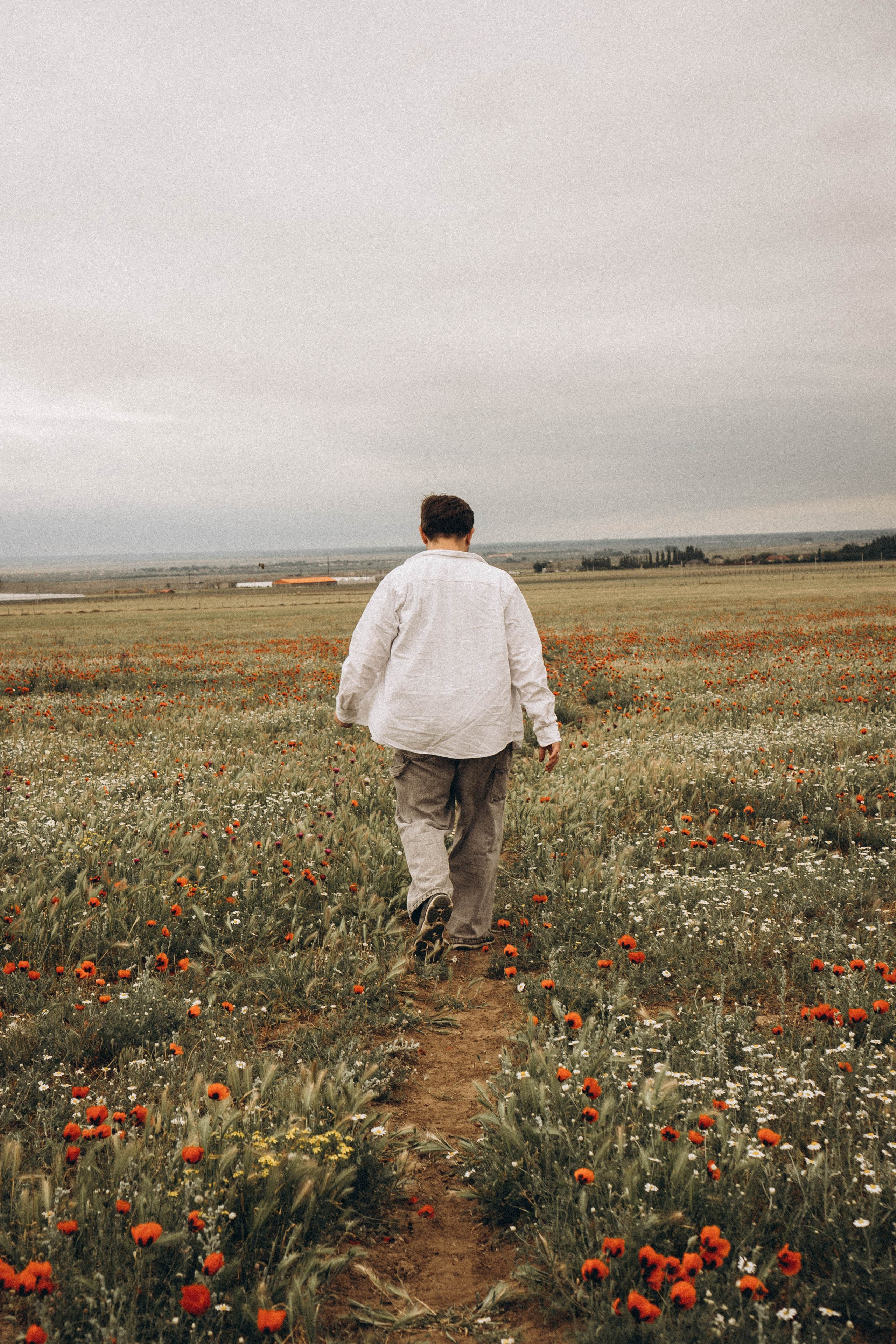 Маки. Профессиональный фотограф, Санкт-Петербург — Виктория Богомолова