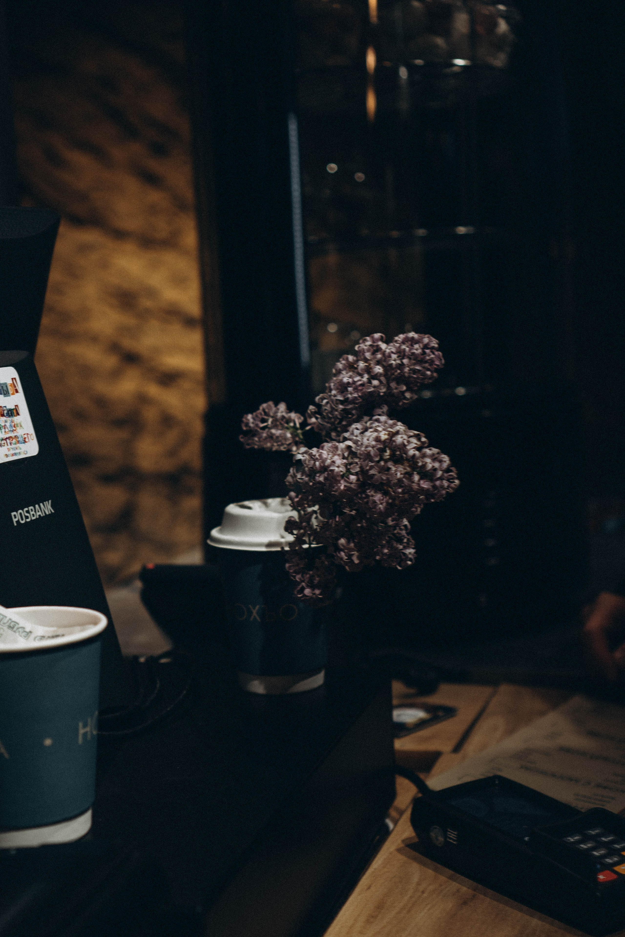 Кавказ. Профессиональный фотограф, Санкт-Петербург — Виктория Богомолова