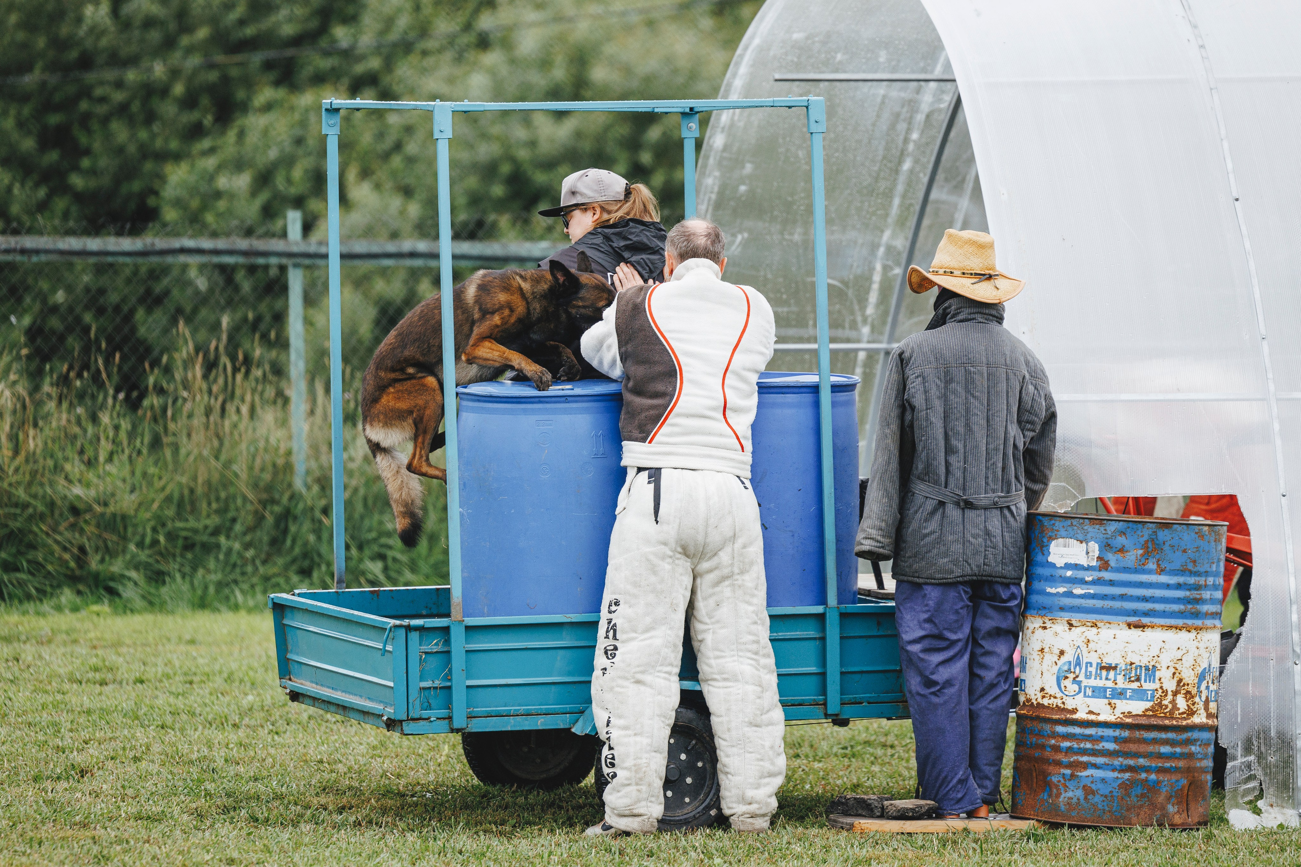08.08.25-10.08.25 ЧР по мондьорингу г. Вологда. Фотограф-анималист Анна Маринич